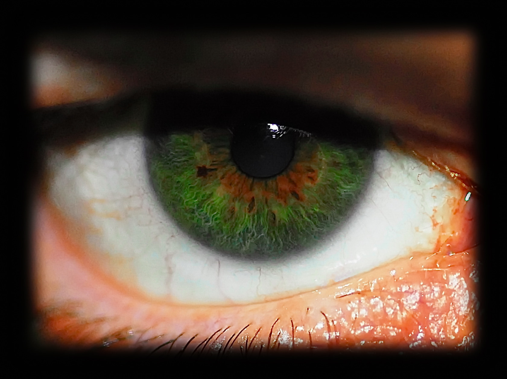 Nikon D200 + AF Micro-Nikkor 105mm f/2.8 sample photo. Eye photography