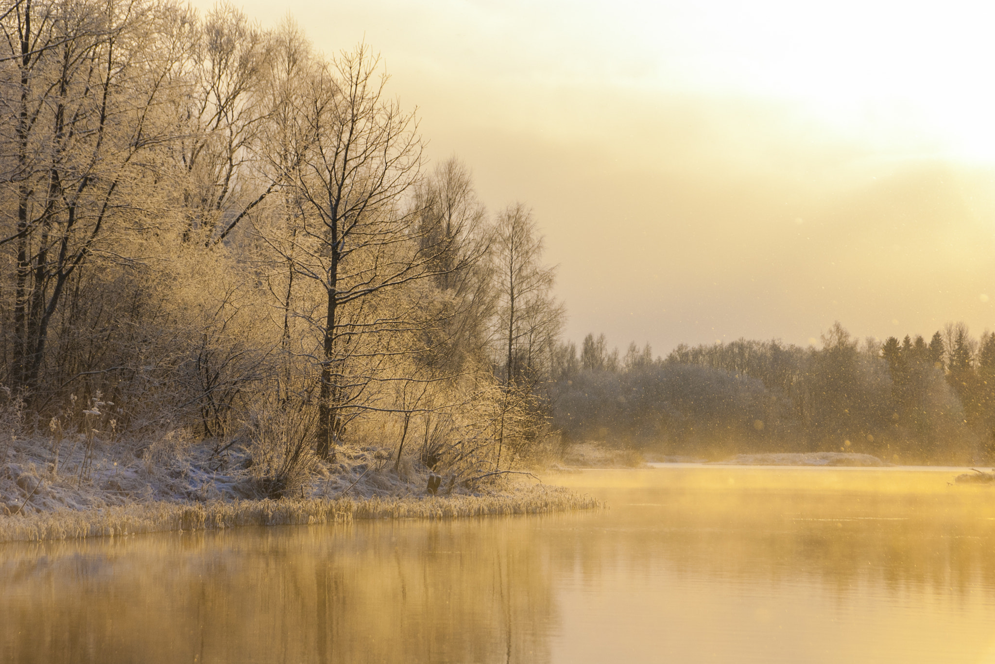 Pentax K100D Super sample photo. Winter fairytale photography