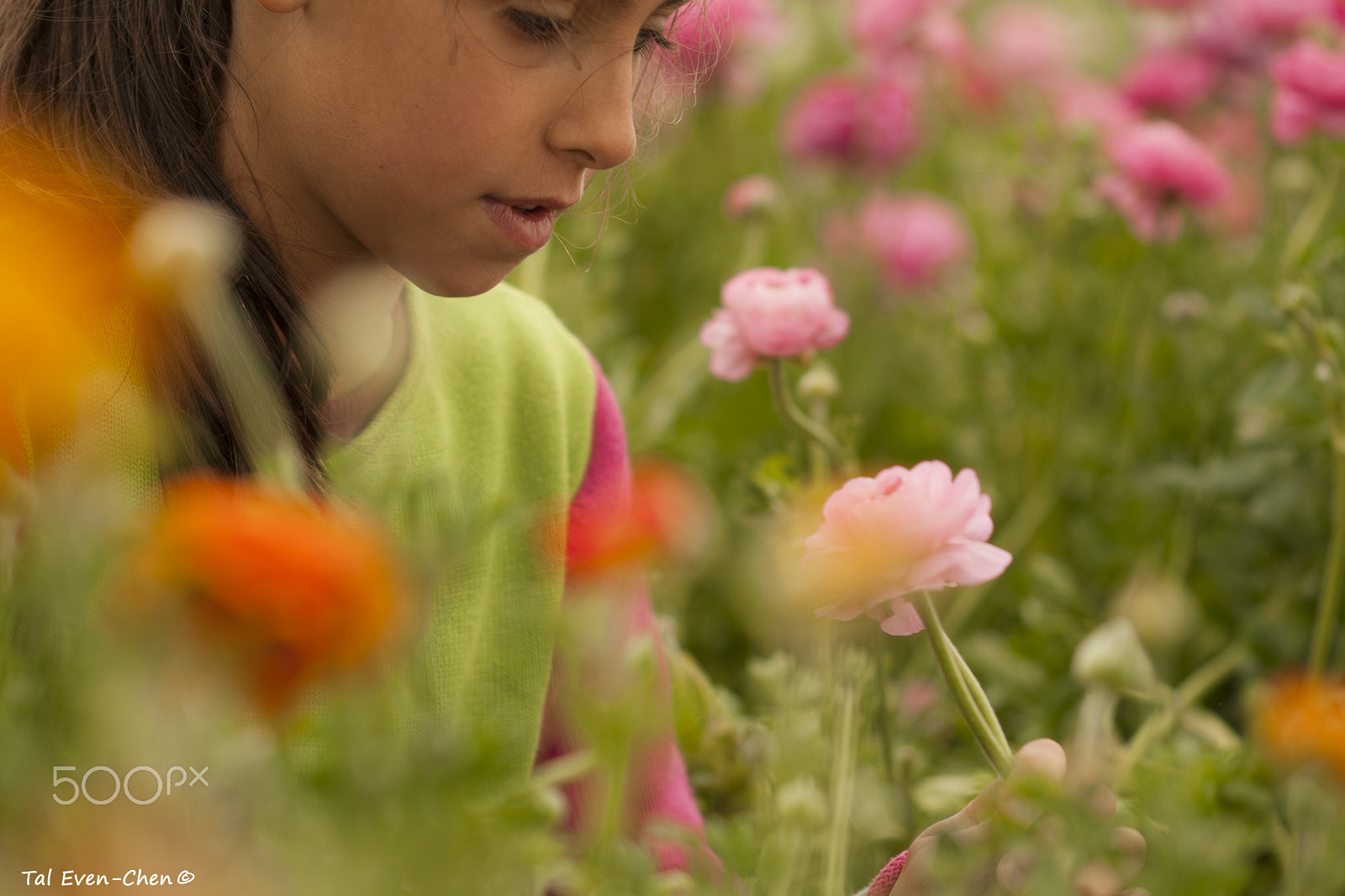 Canon EF 100mm F2.8 Macro USM sample photo. Flower girl photography