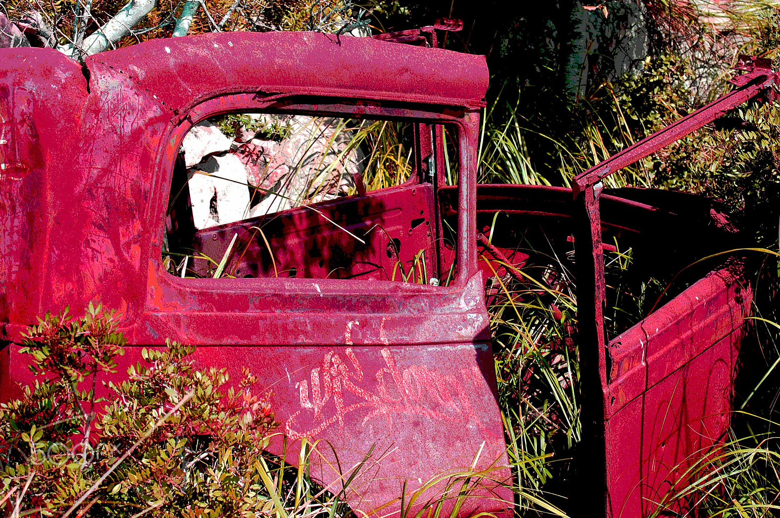 Nikon D40 sample photo. The flowering of abandonment photography