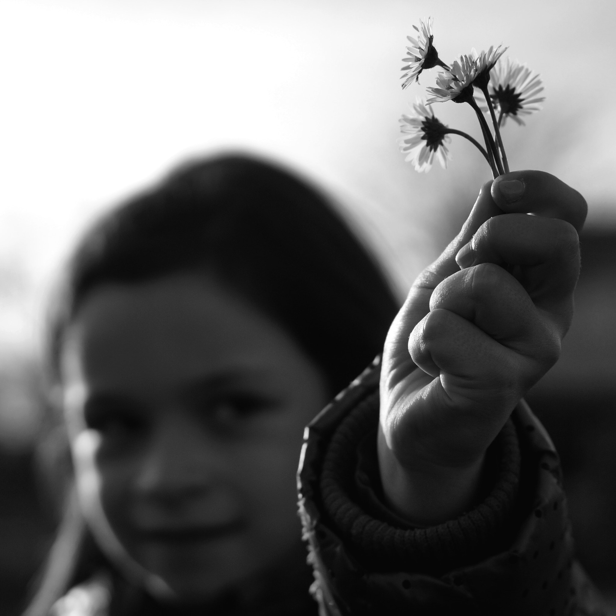 Sony Alpha NEX-3N + E 50mm F1.8 OSS sample photo. Winter daisies photography