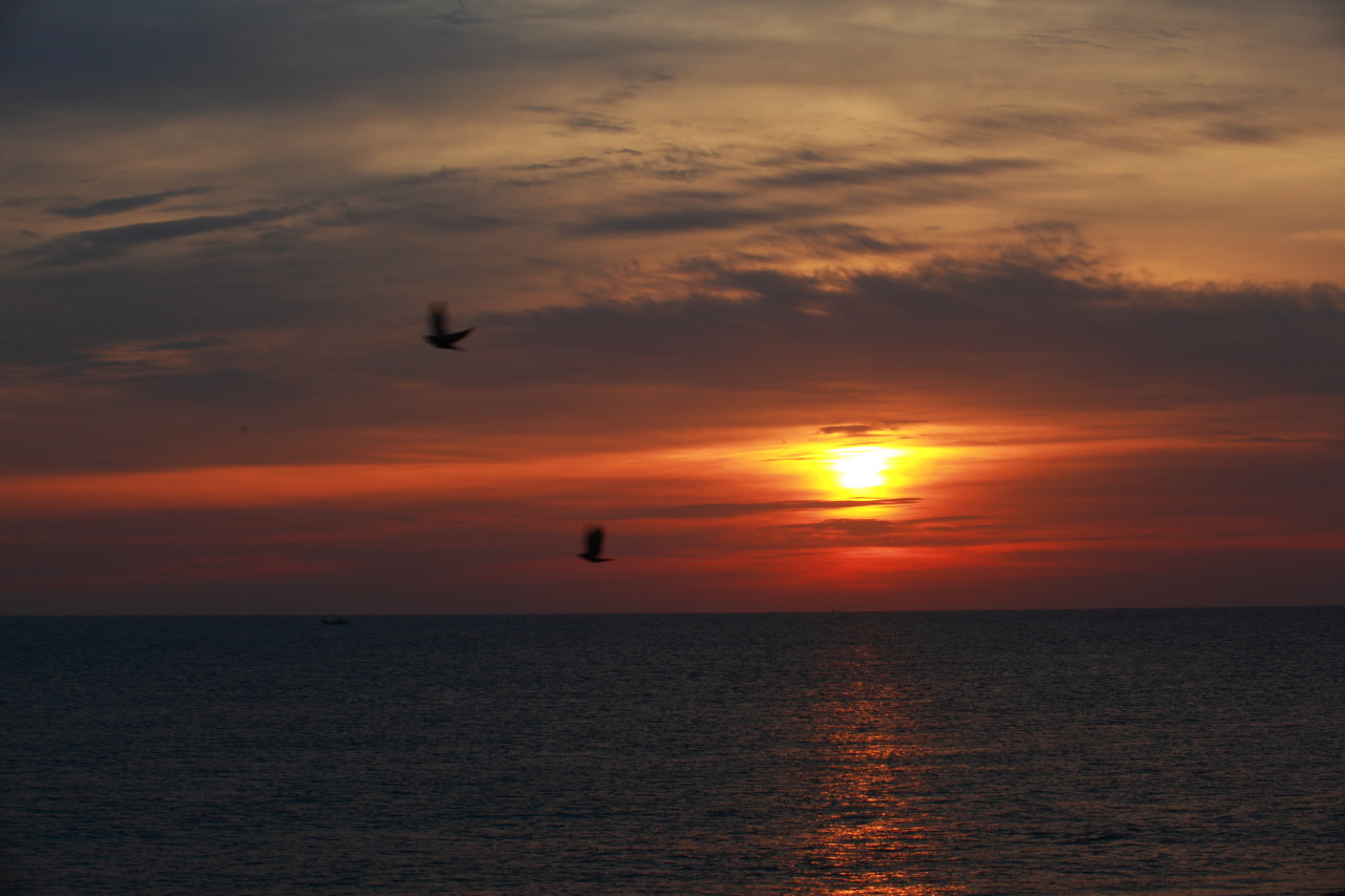 Canon EF 80-200mm f/2.8L sample photo. Sunrise in a beach photography