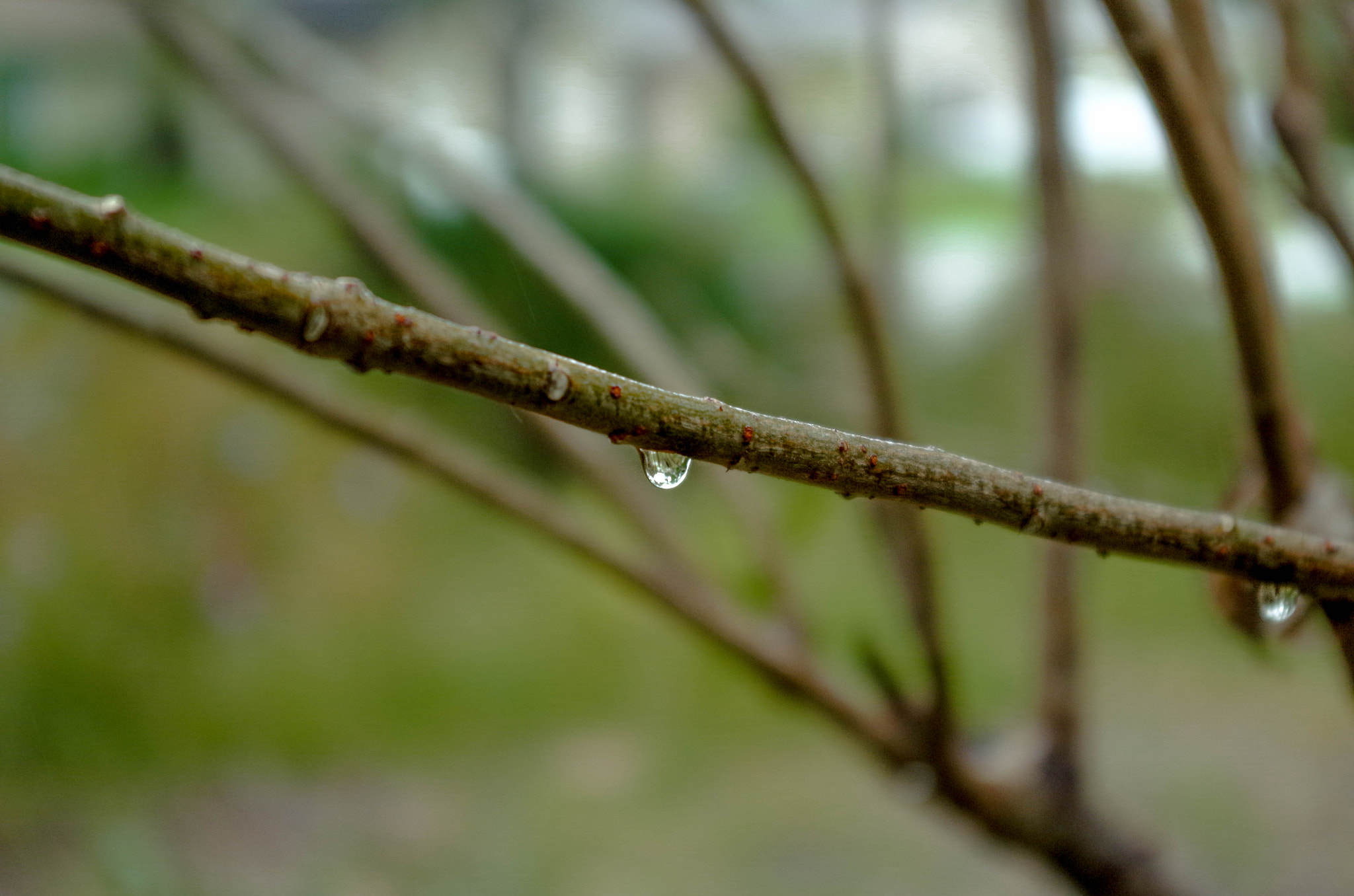 Pentax smc DA 18-55mm F3.5-5.6 AL sample photo. H3 photography