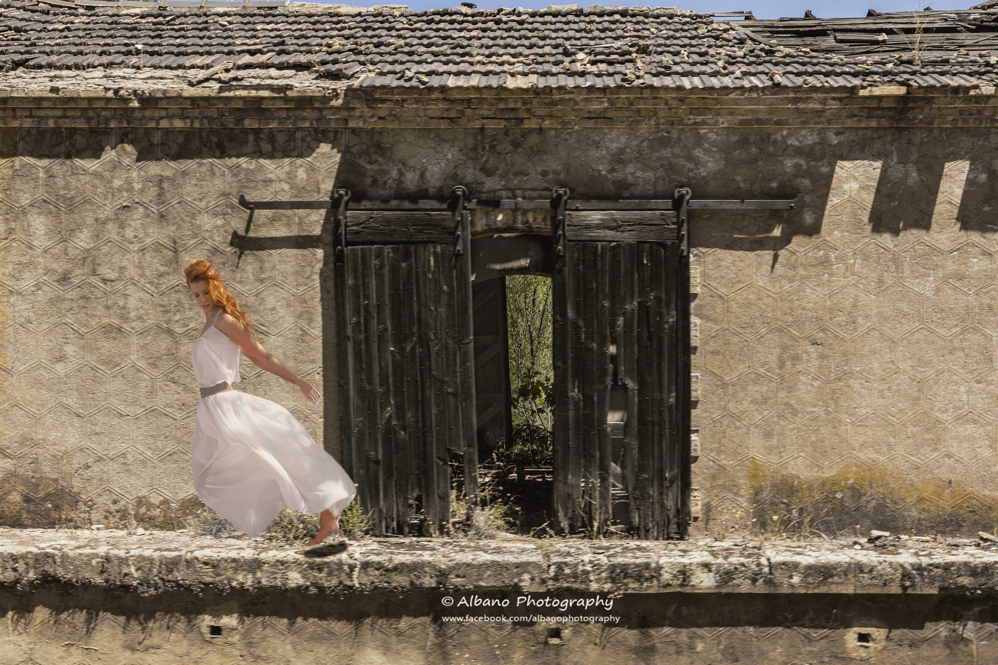 Canon EF 24-70mm F4L IS USM sample photo. Vuela photography