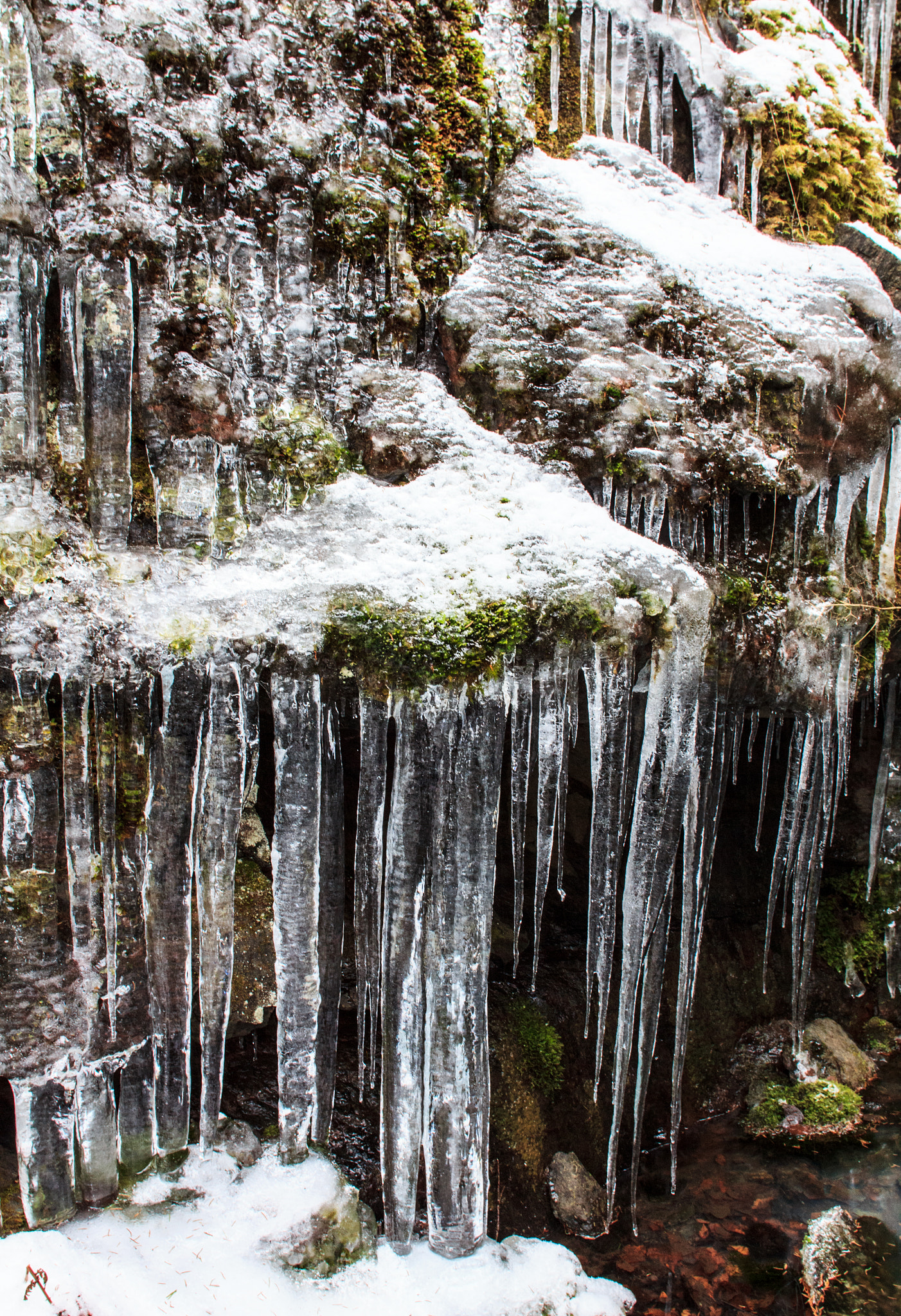 Canon EF 20mm F2.8 USM sample photo. Ice ice baby photography