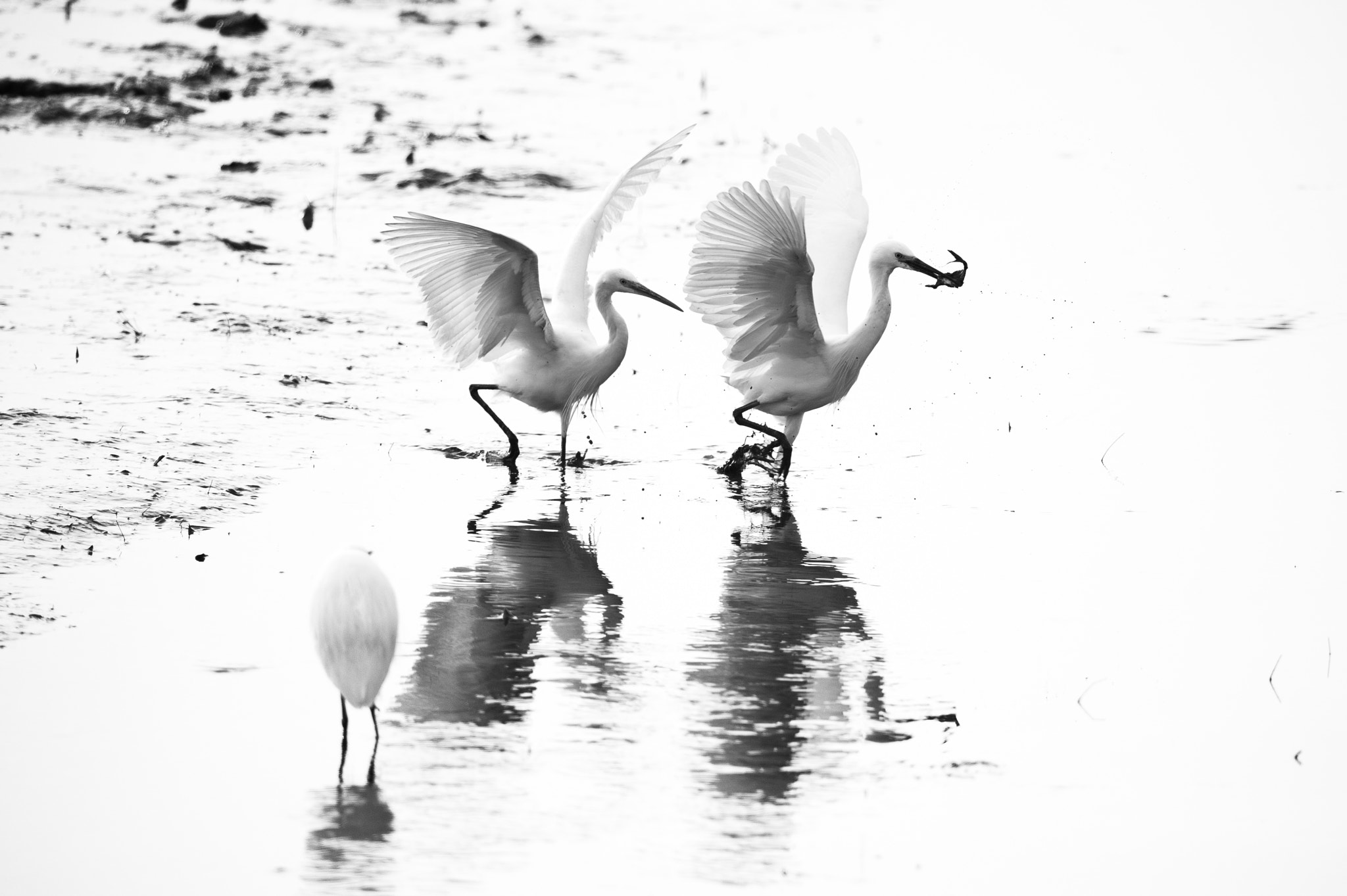 Nikon D3S + Sigma 24-60mm F2.8 EX DG sample photo. Shenzhen hongshulin seashore ecological park 1 photography