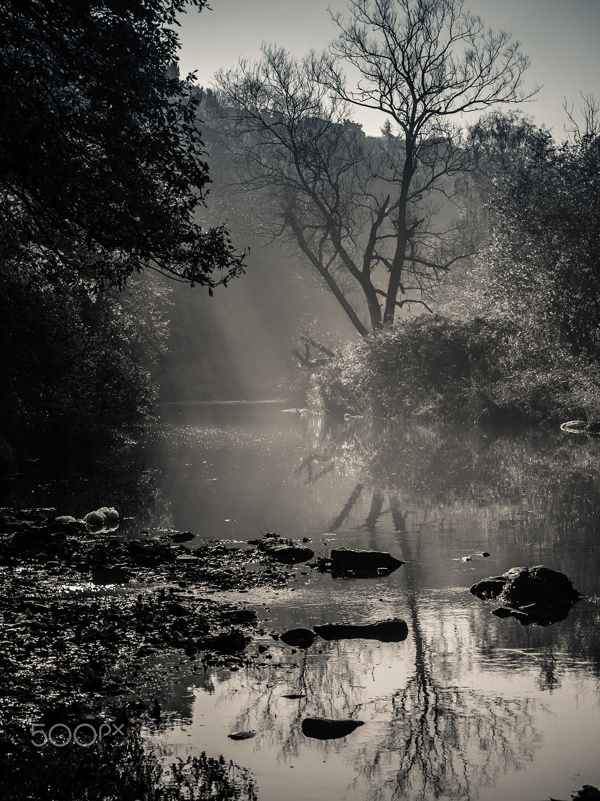 Panasonic Lumix DMC-G6 sample photo. Misty morning photography