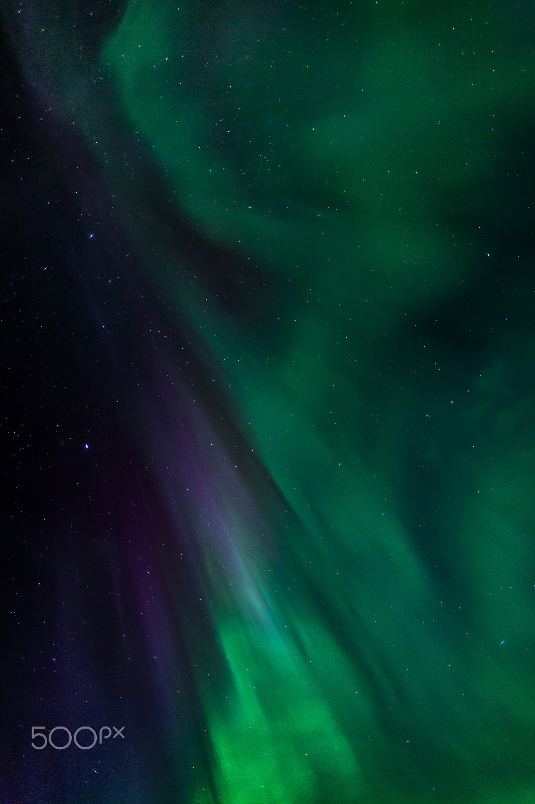Sigma 20mm EX f/1.8 sample photo. Northern lights - estonia photography