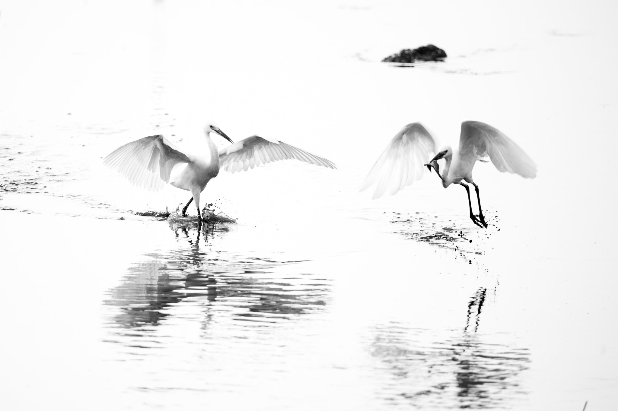 Nikon D3S + Sigma 24-60mm F2.8 EX DG sample photo. Shenzhen hongshulin seashore ecological park 2 photography