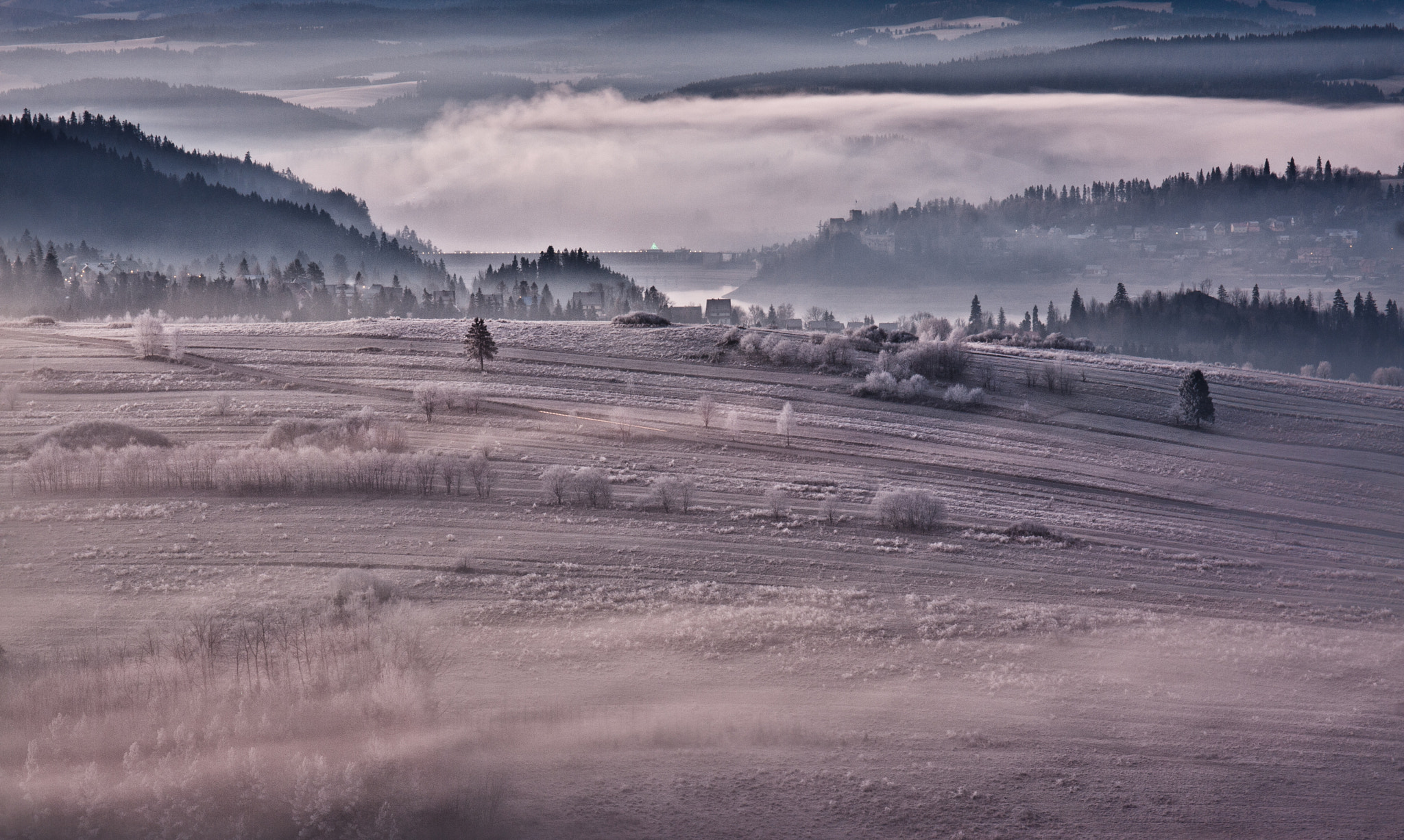 Canon EF 24-70mm F4L IS USM sample photo. Brisk morning photography