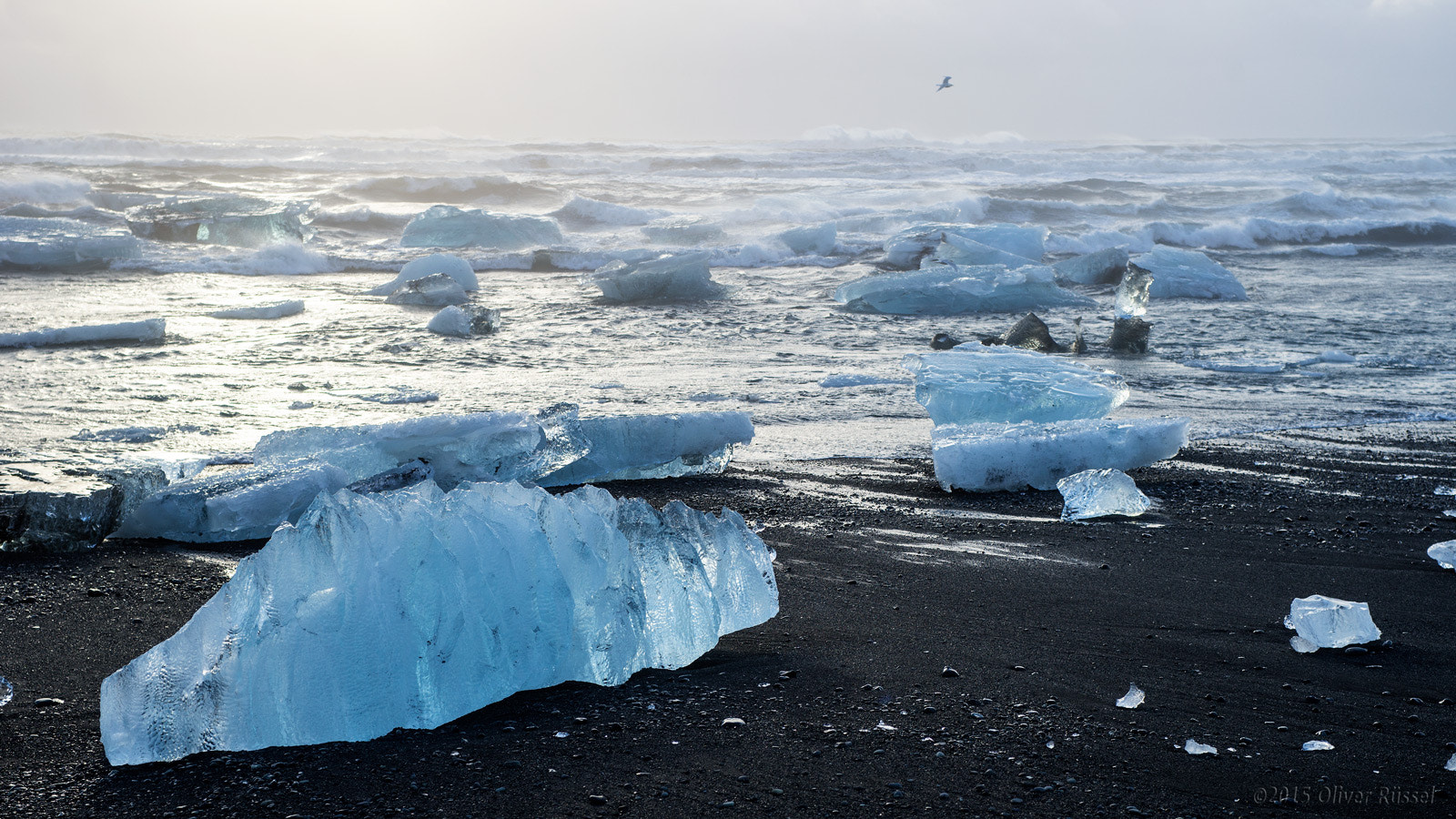 Sony a99 II + Sigma 28-70mm EX DG F2.8 sample photo. I feel the cold down to my bones photography