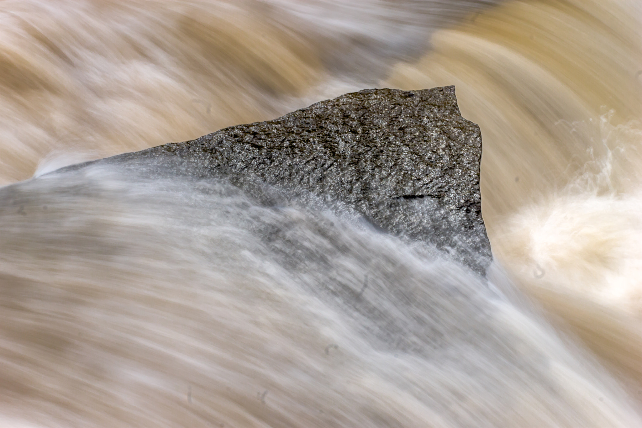 Canon EF 180mm F3.5L Macro USM sample photo. Nature photography