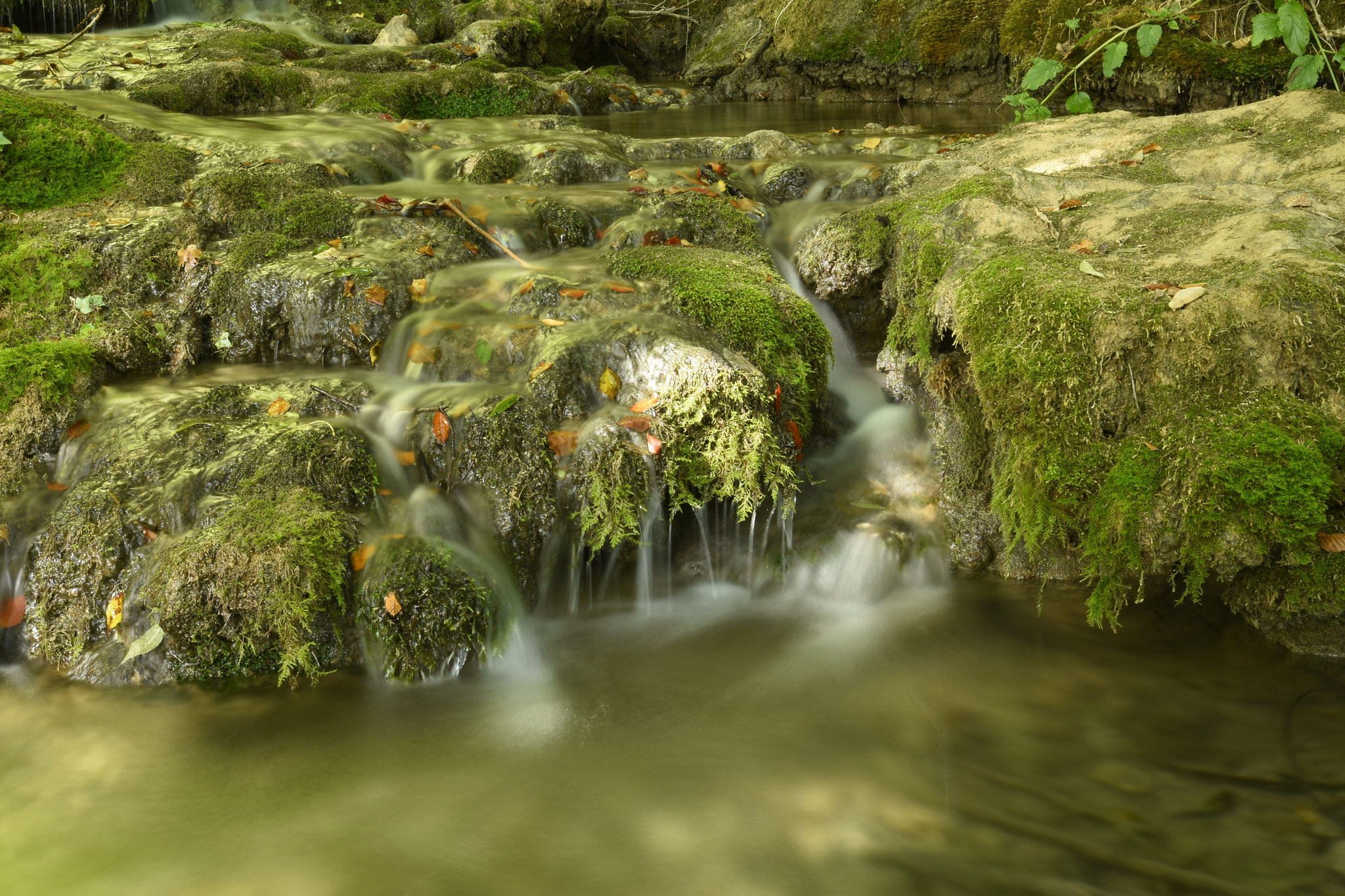 Nikon AF-S Nikkor 16-35mm F4G ED VR sample photo. __image__ photography