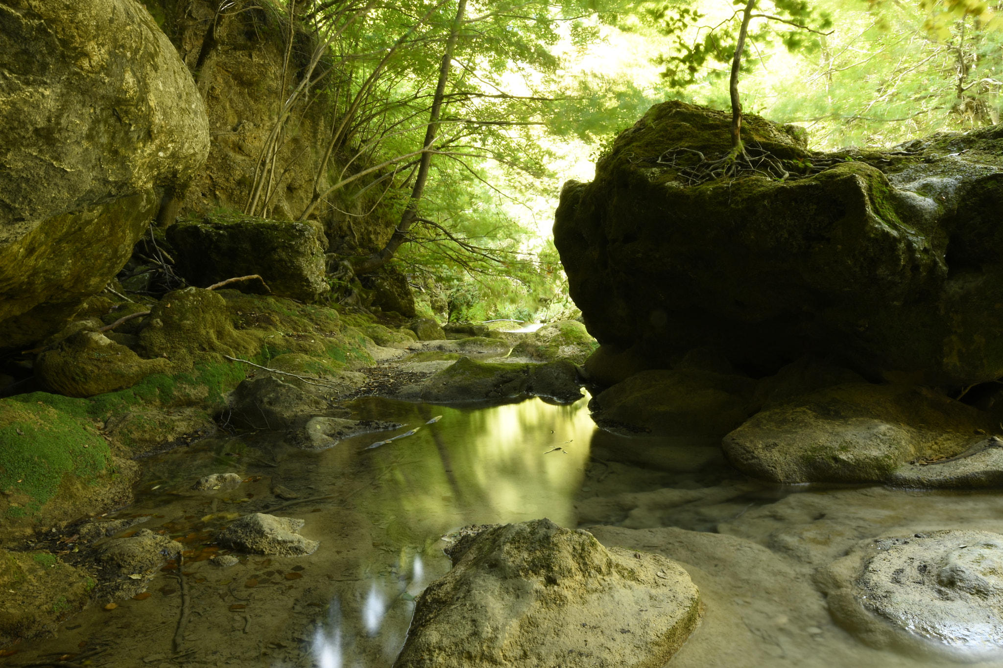 Nikon AF-S Nikkor 16-35mm F4G ED VR sample photo. __image__ photography