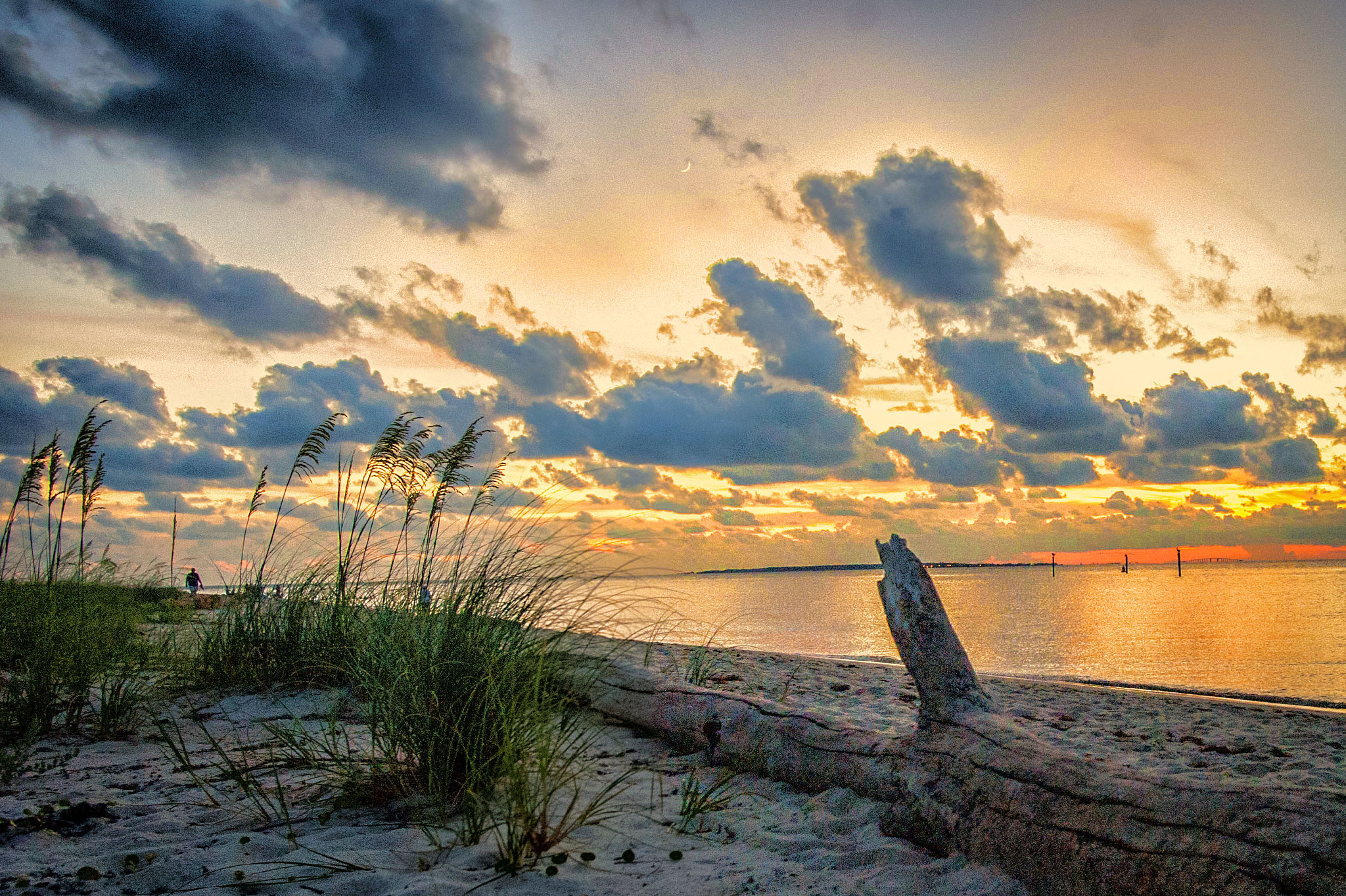 Nikon D700 + Nikon AF-S Nikkor 20mm F1.8G ED sample photo. Gulf shores photography