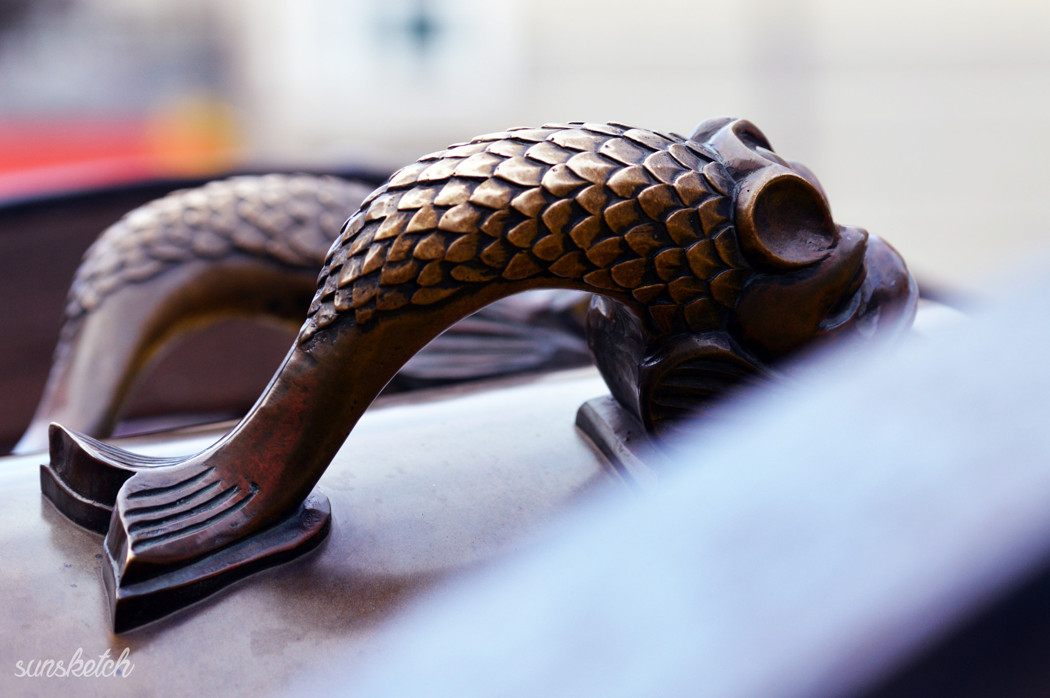 Sigma 70-200mm F2.8 EX DG OS HSM sample photo. Fish photography