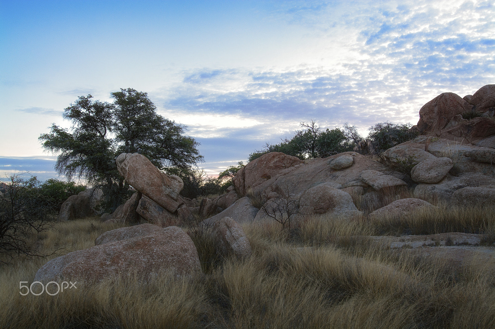 Nikon AF-S Nikkor 17-35mm F2.8D ED-IF sample photo. Early morning photography