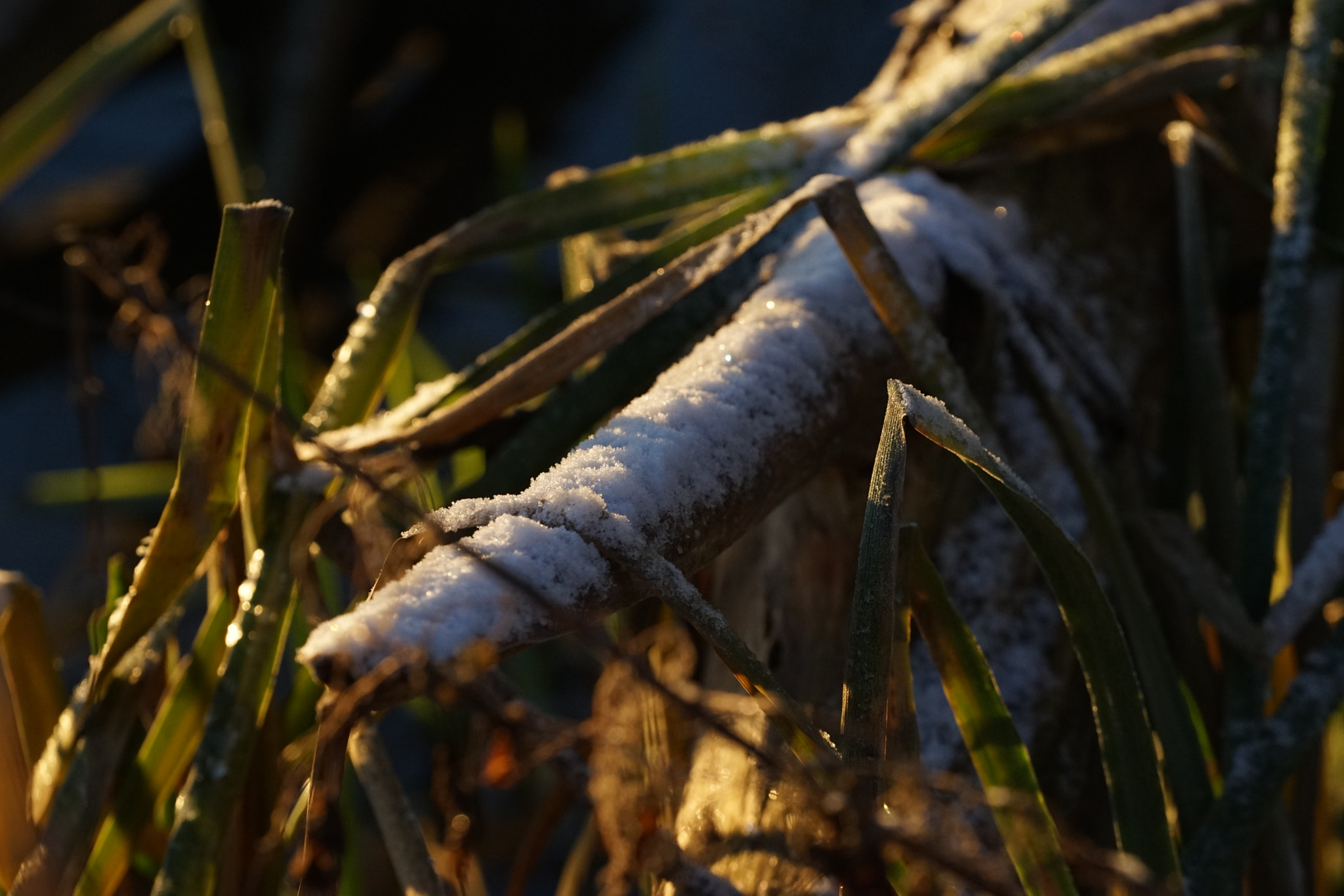 Sony a7 II + Sony FE 70-200mm F4 G OSS sample photo. Sunrise after a cold night photography