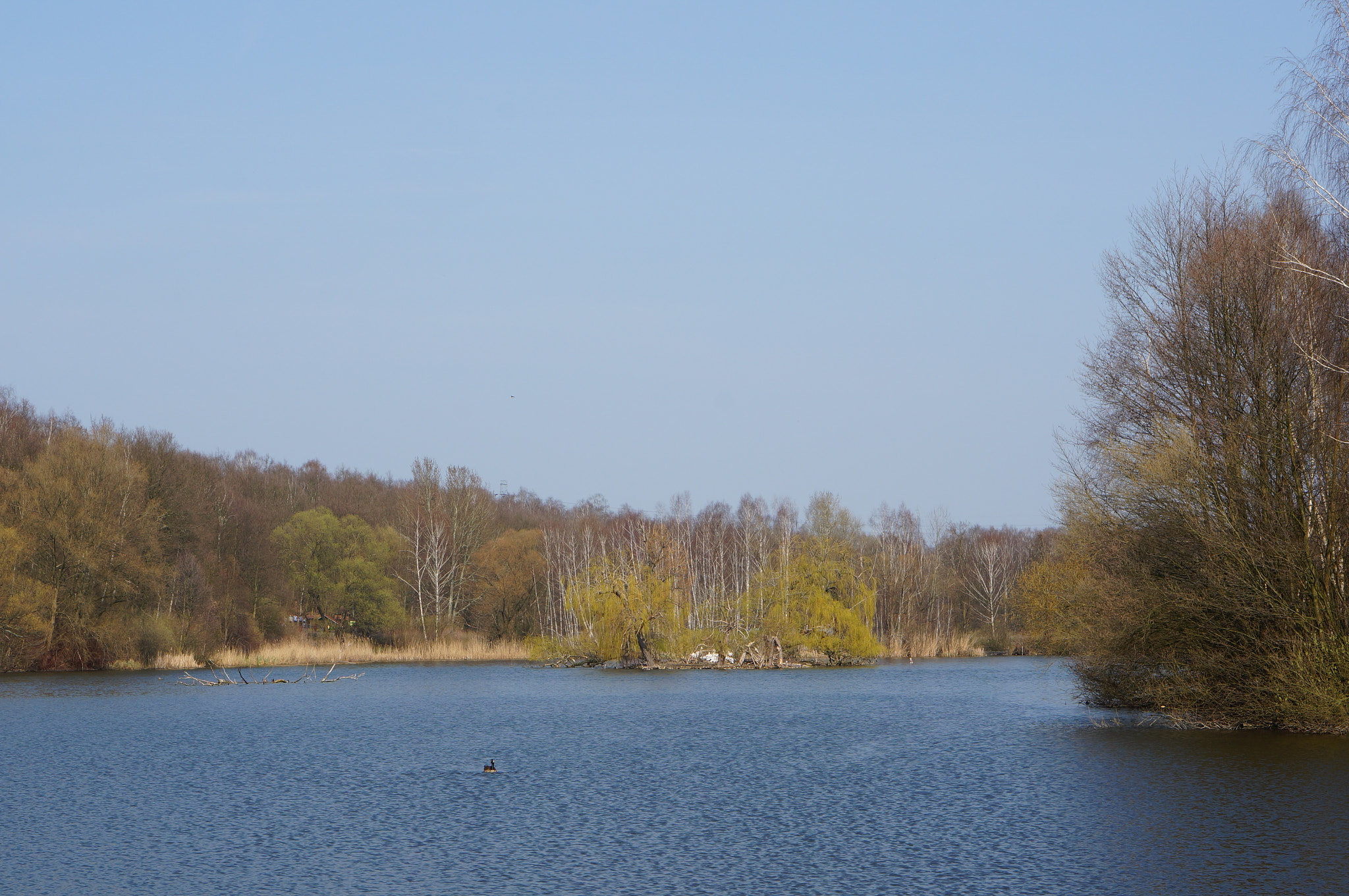 Sony Alpha NEX-6 + Sony E 50mm F1.8 OSS sample photo. Lake and trees photography
