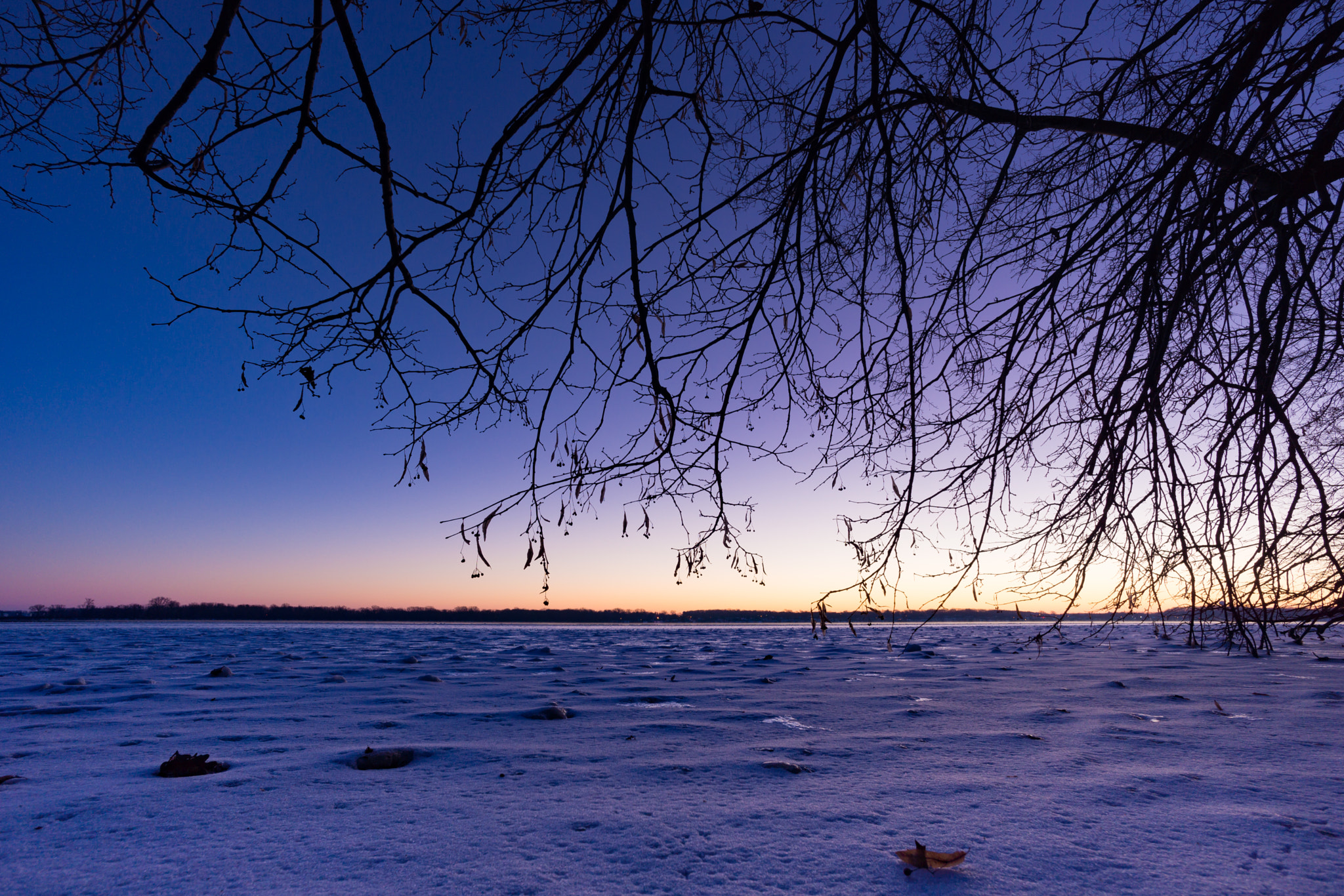 Sony Alpha NEX-7 + ZEISS Touit 12mm F2.8 sample photo. Lake farm park sunrise photography