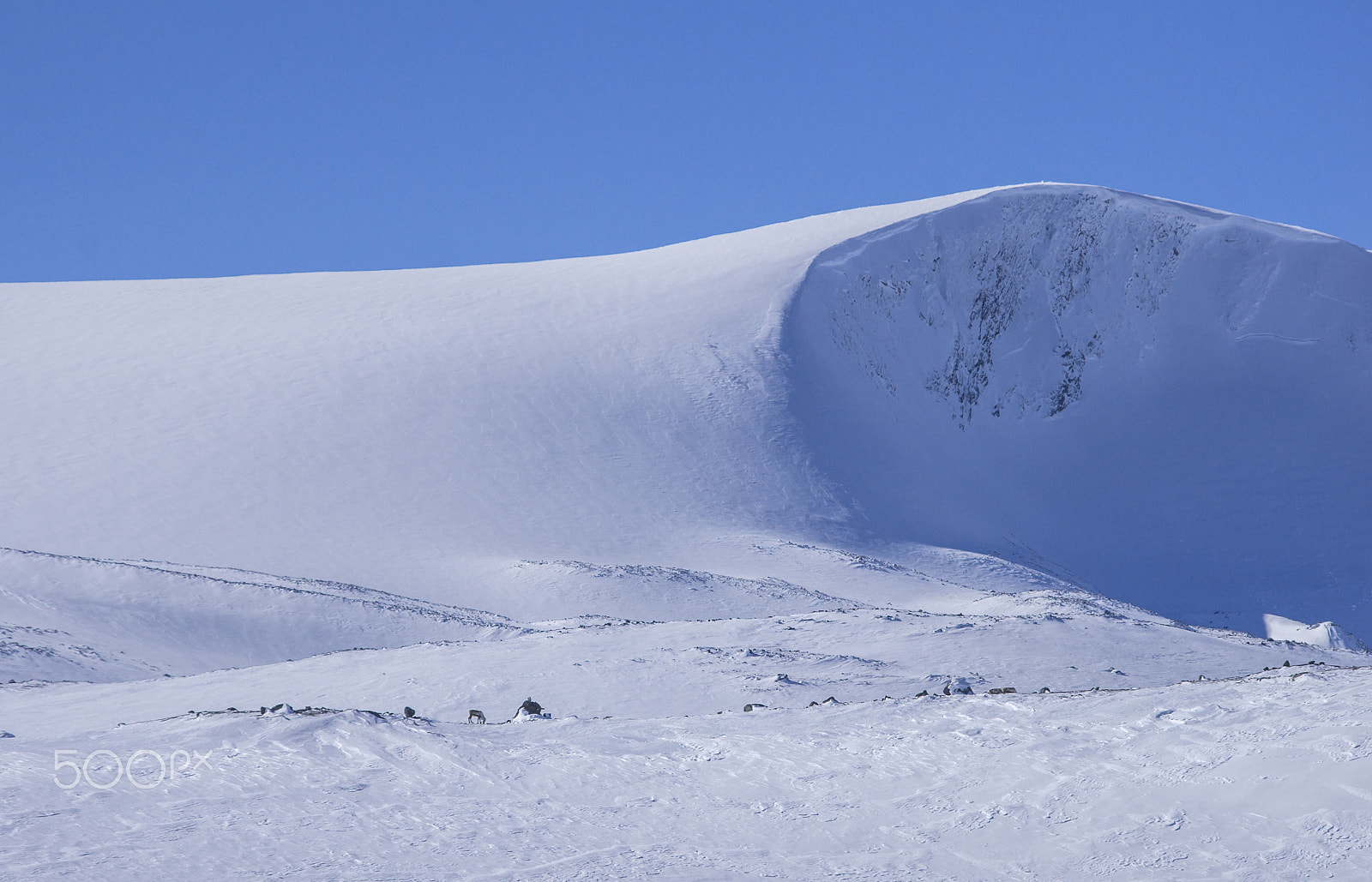 HD Pentax DA 55-300mm F4.0-5.8 ED WR sample photo. Skriulaupen photography