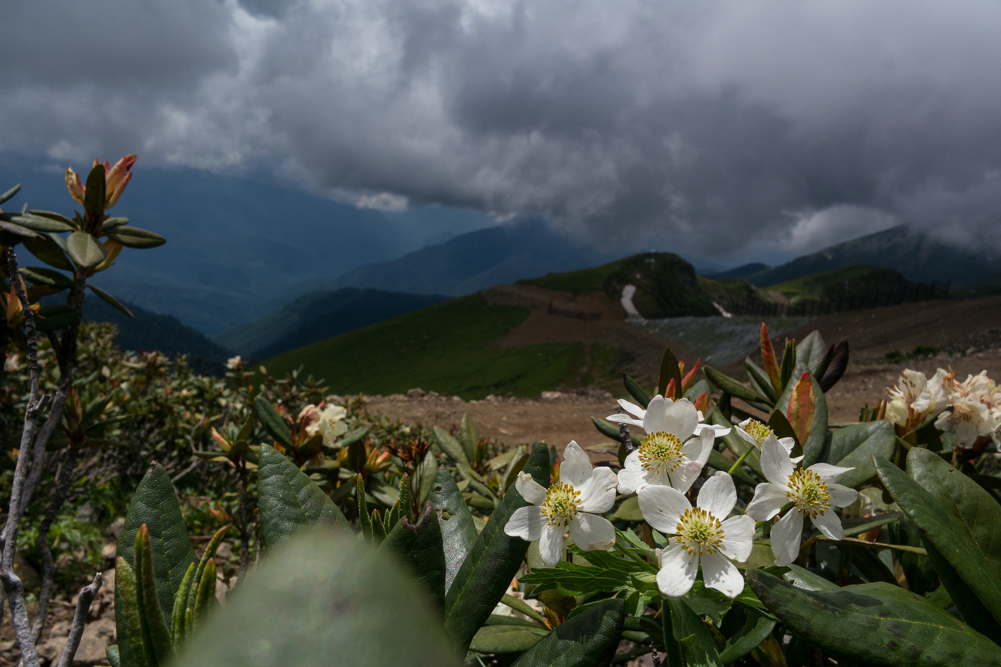 Samsung NX1000 + Samsung NX 16mm F2.4 Pancake sample photo. In the mountains photography