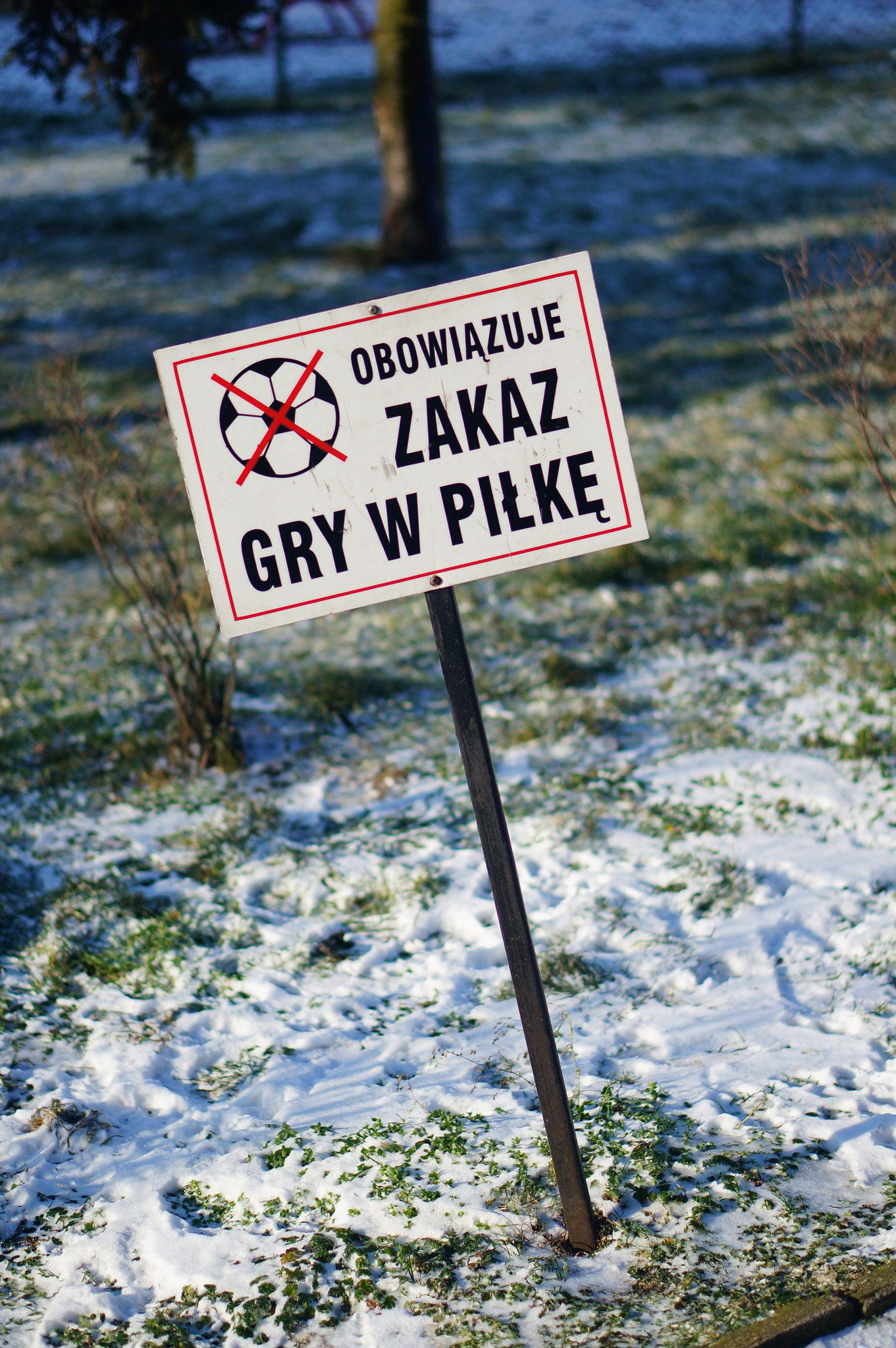Sony Alpha NEX-6 + Sony E 50mm F1.8 OSS sample photo. Polish sign showing that ball playing is not allowed photography