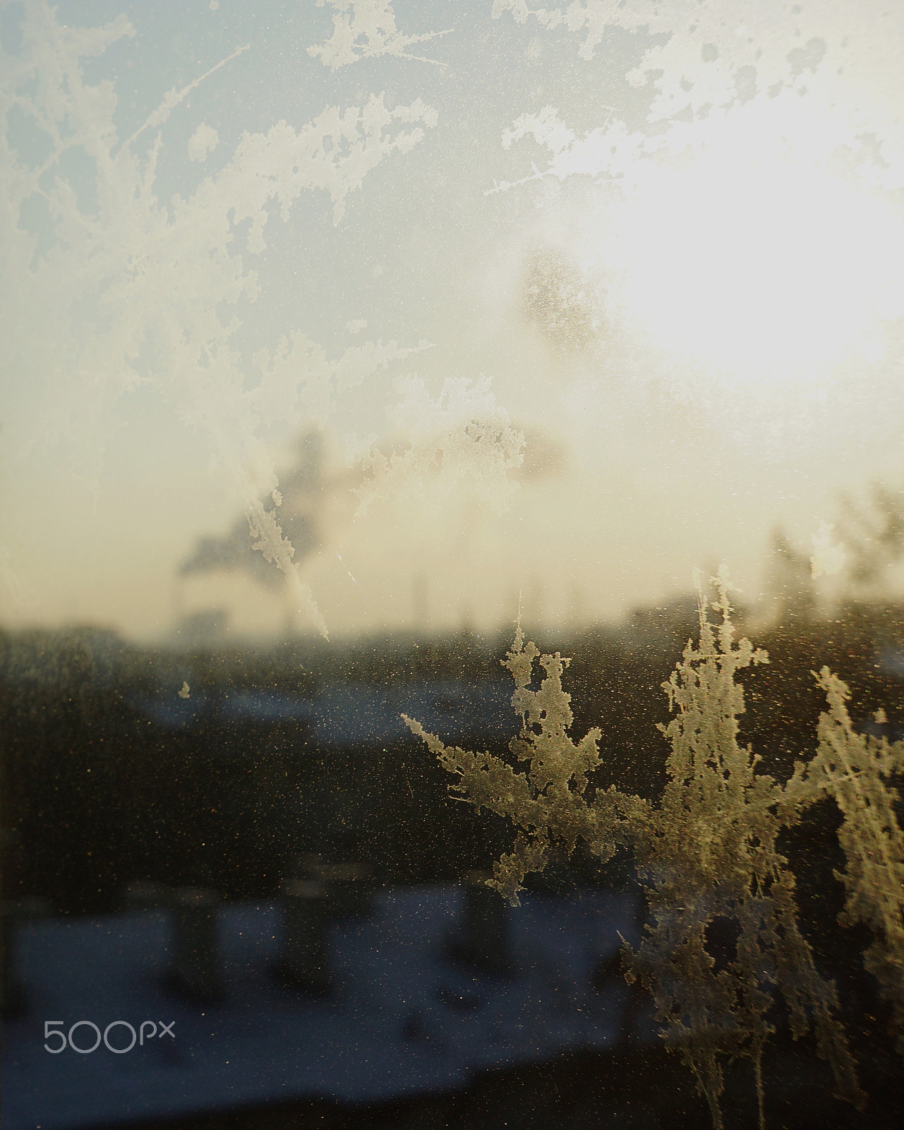 Tamron 18-200mm F3.5-6.3 Di III VC sample photo. It’s cold outside photography