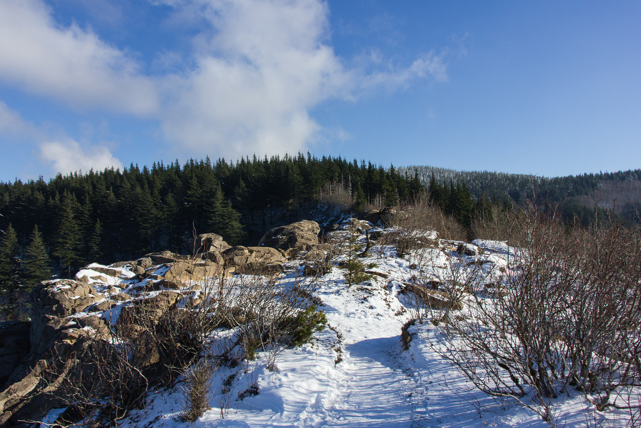 Canon EF-S 18-135mm F3.5-5.6 IS STM sample photo. Angels rest summit photography