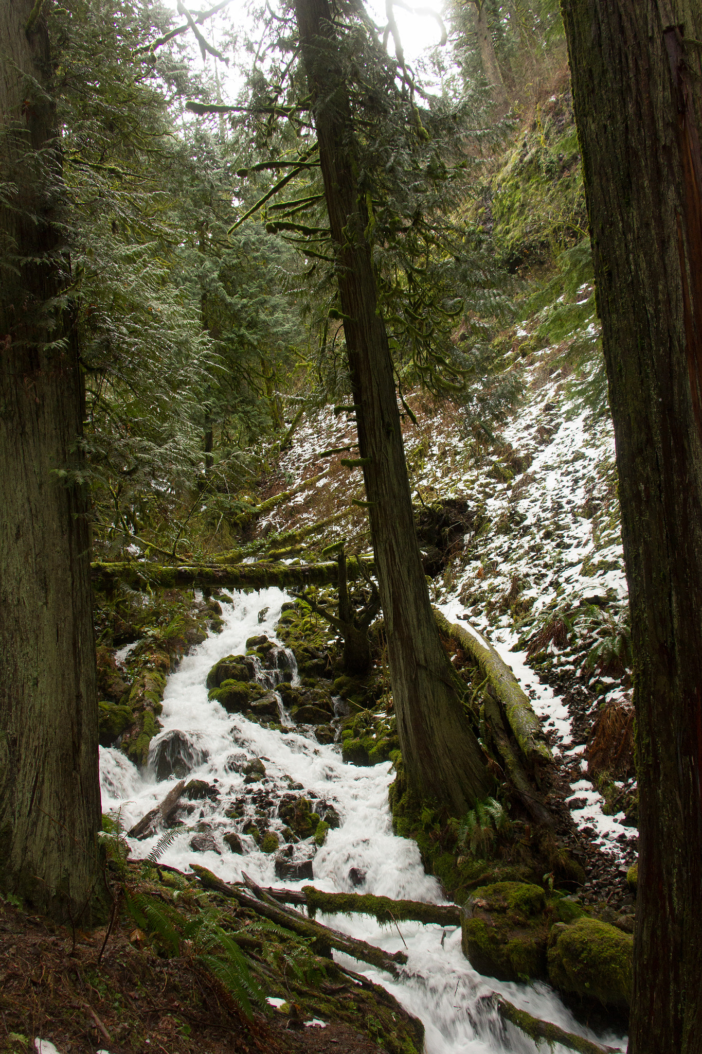 Canon EF-S 18-135mm F3.5-5.6 IS STM sample photo. Snowy creek photography