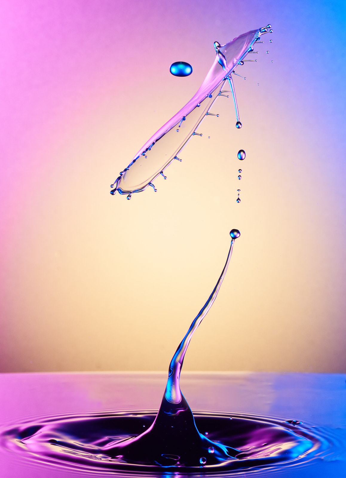 90mm F2.8 sample photo. Collide 38 photography