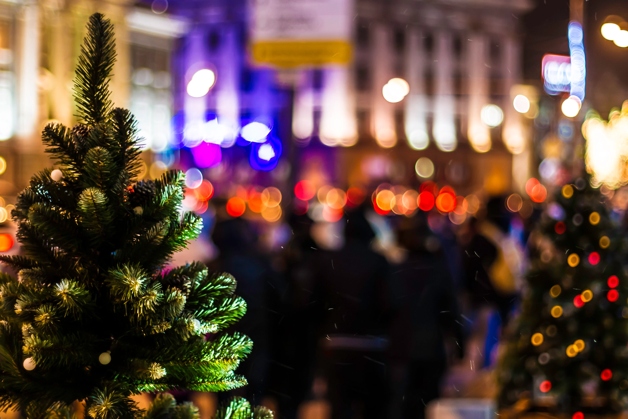 Sony Alpha DSLR-A500 + Sony 50mm F1.4 sample photo. Christmas spirit photography