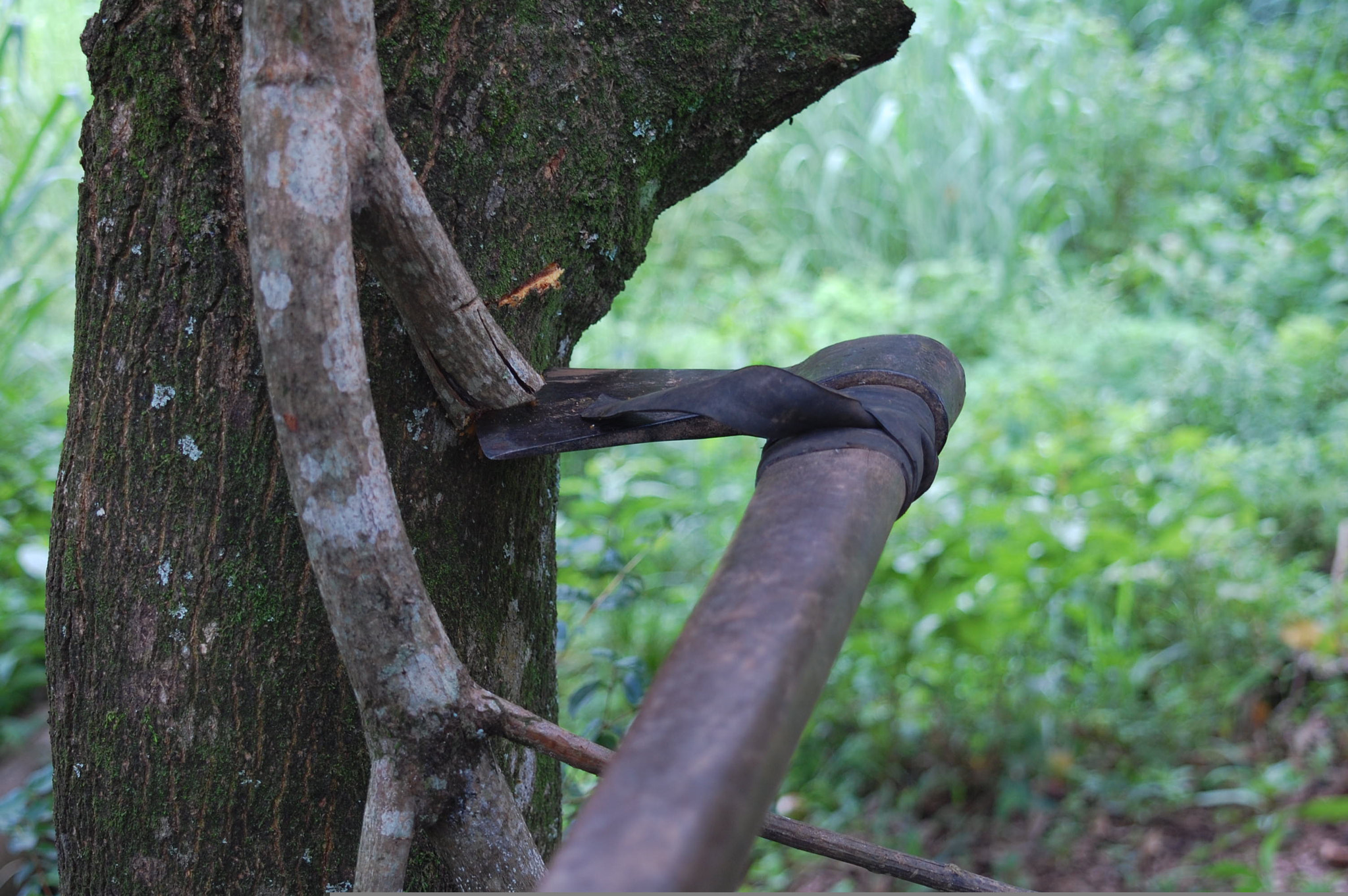 Nikon D40 sample photo. Axe photography
