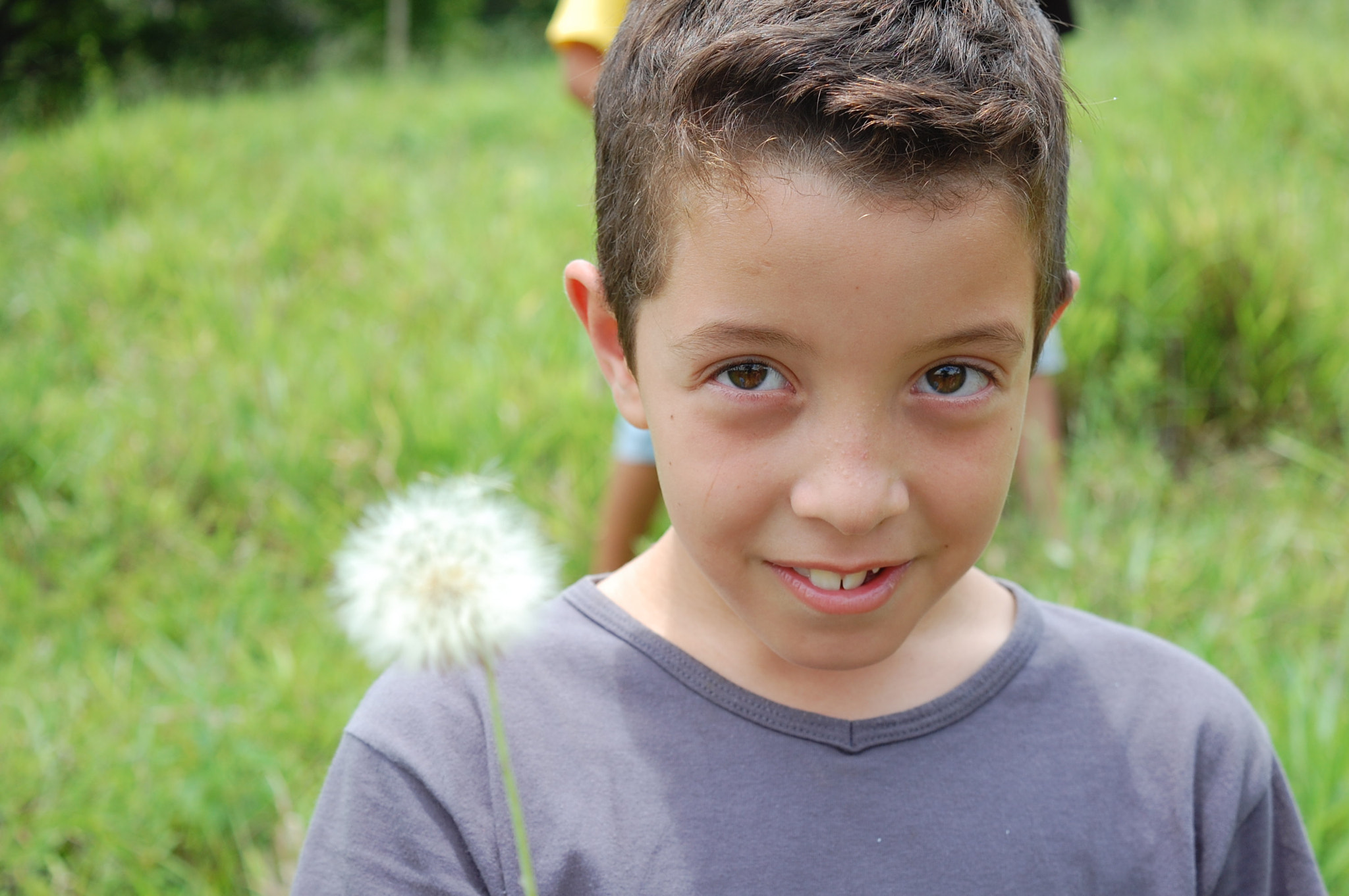 Nikon D40 sample photo. Dandelion photography
