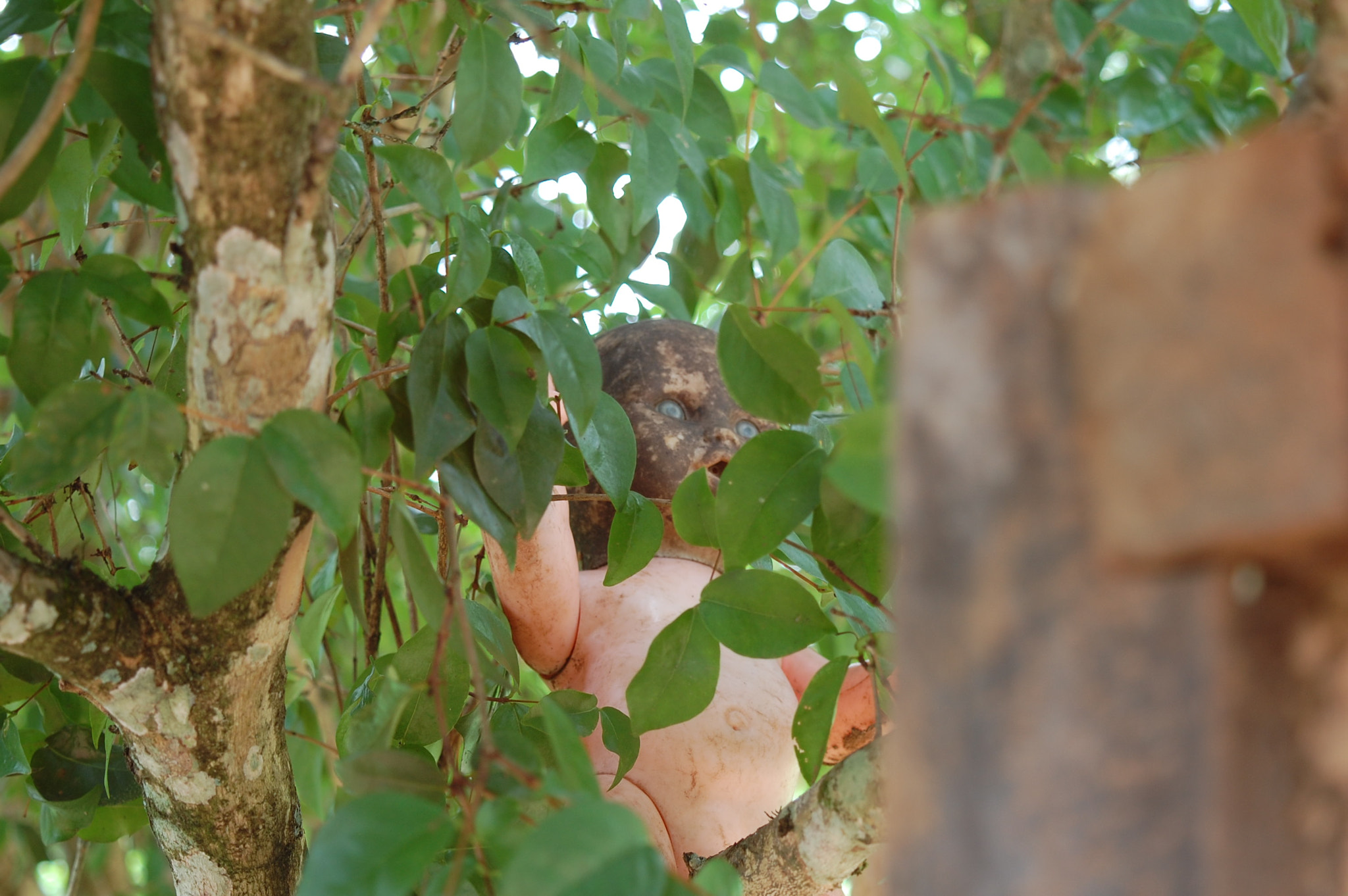 Nikon D40 sample photo. Creepy doll photography