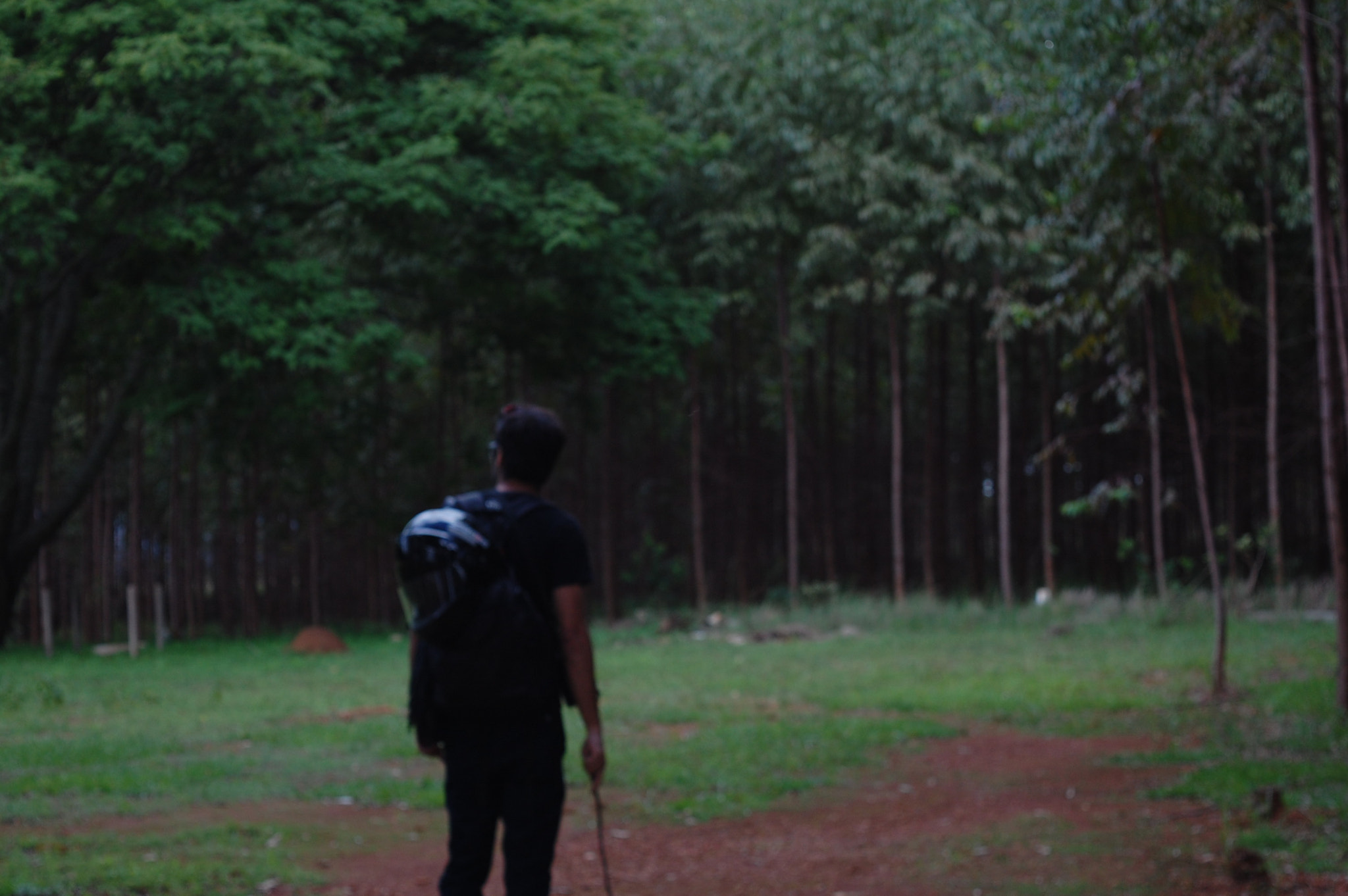Nikon D40 sample photo. Discovery photography