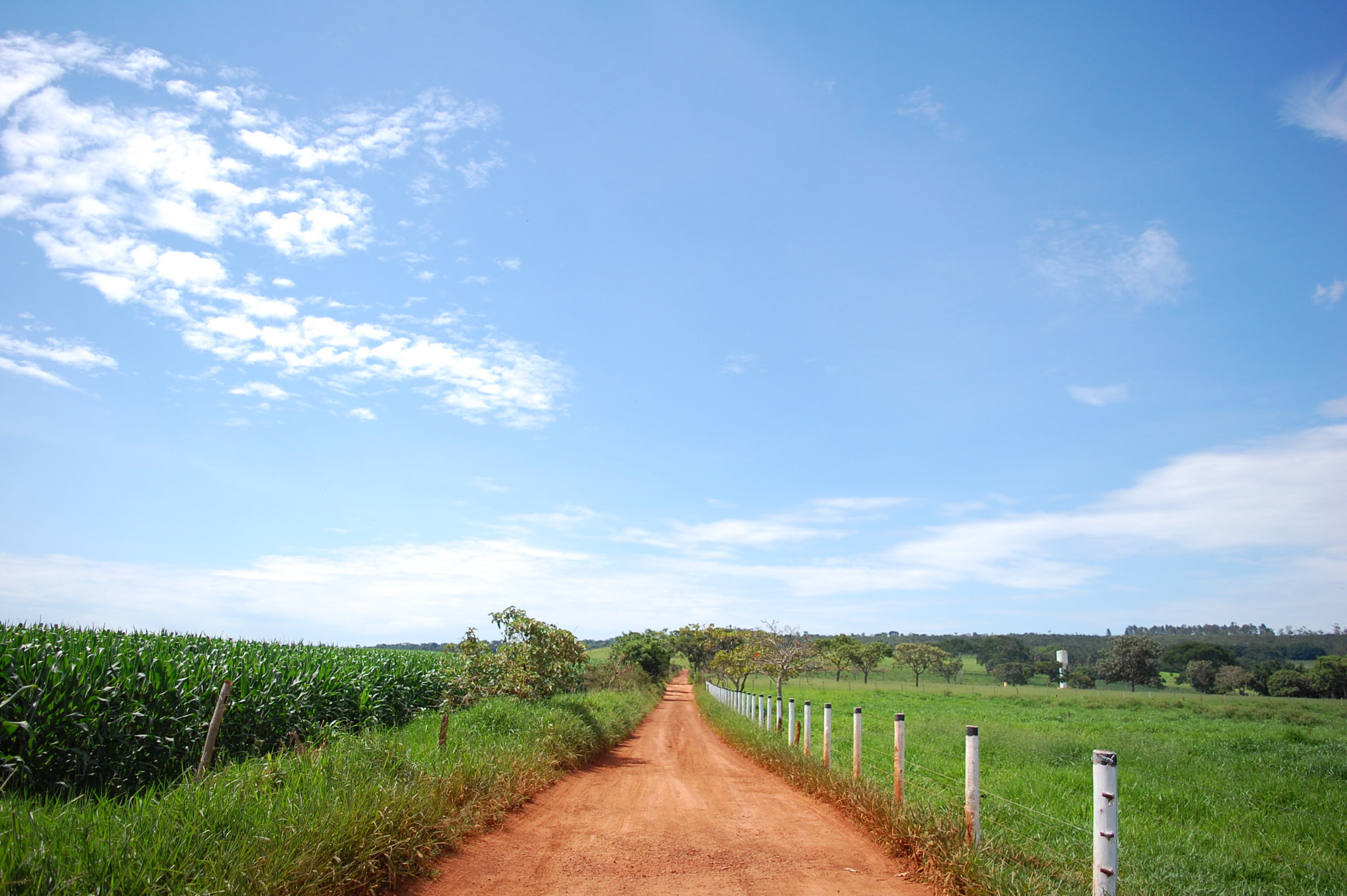 Nikon D40 sample photo. Road photography