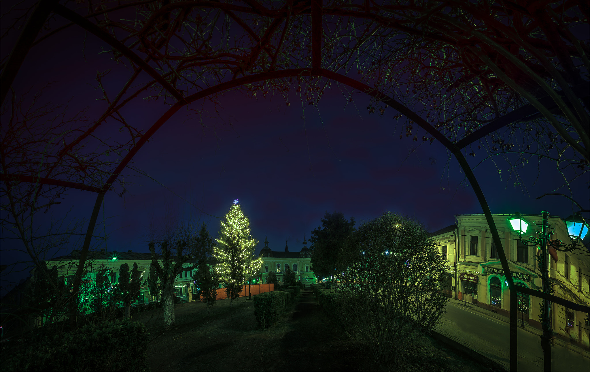 Samyang 12mm F2.8 ED AS NCS Fisheye sample photo. Central park on new year photography