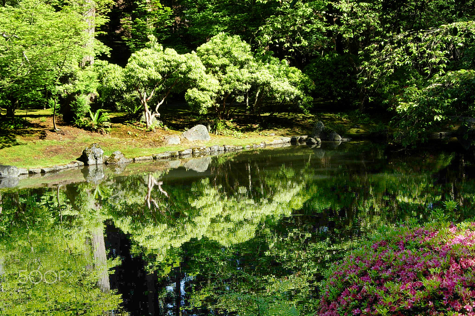 Nikon COOLPIX P4 sample photo. Japanese garden 3 photography