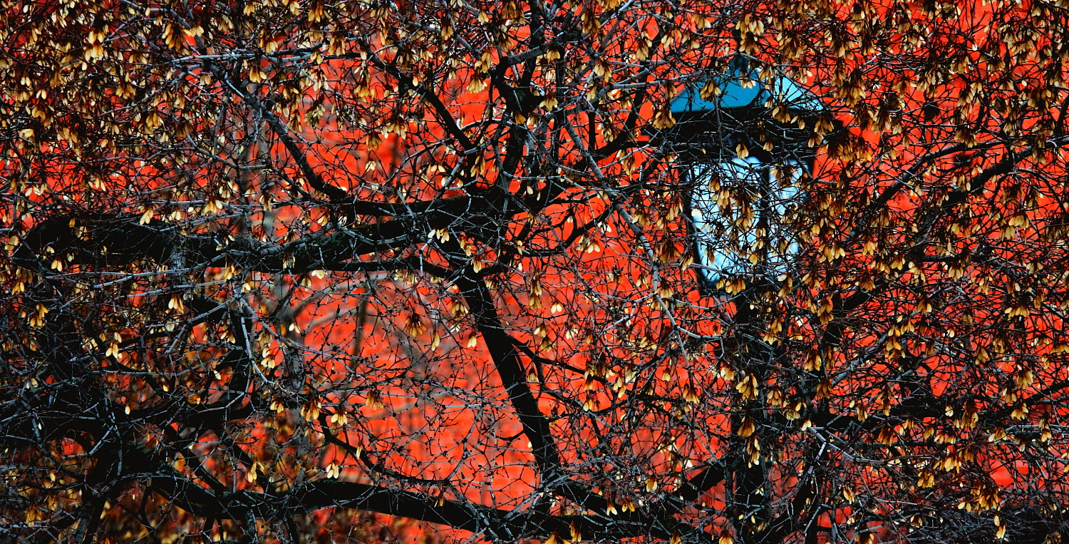 Canon 70-200mm sample photo. Симфония света. (адажио) photography