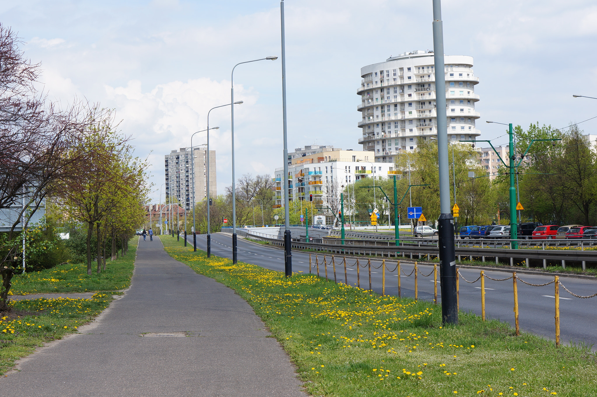 Sony Alpha NEX-5N + Sony E 50mm F1.8 OSS sample photo. Asphalt footpath photography