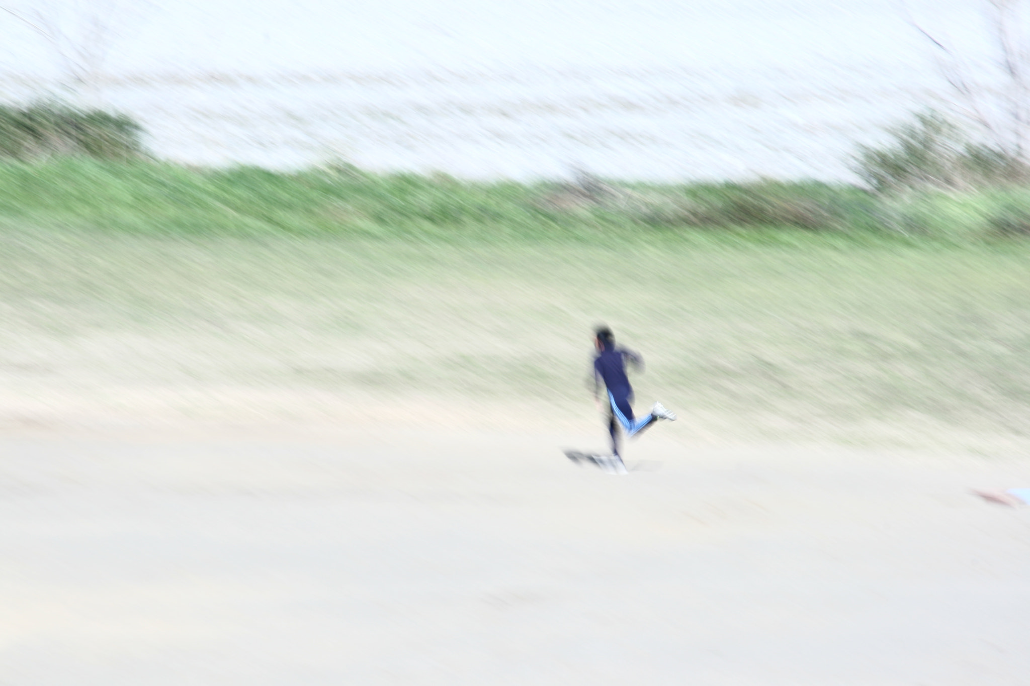 Canon EF 55-200mm F4.5-5.6 II USM sample photo. Passing photography