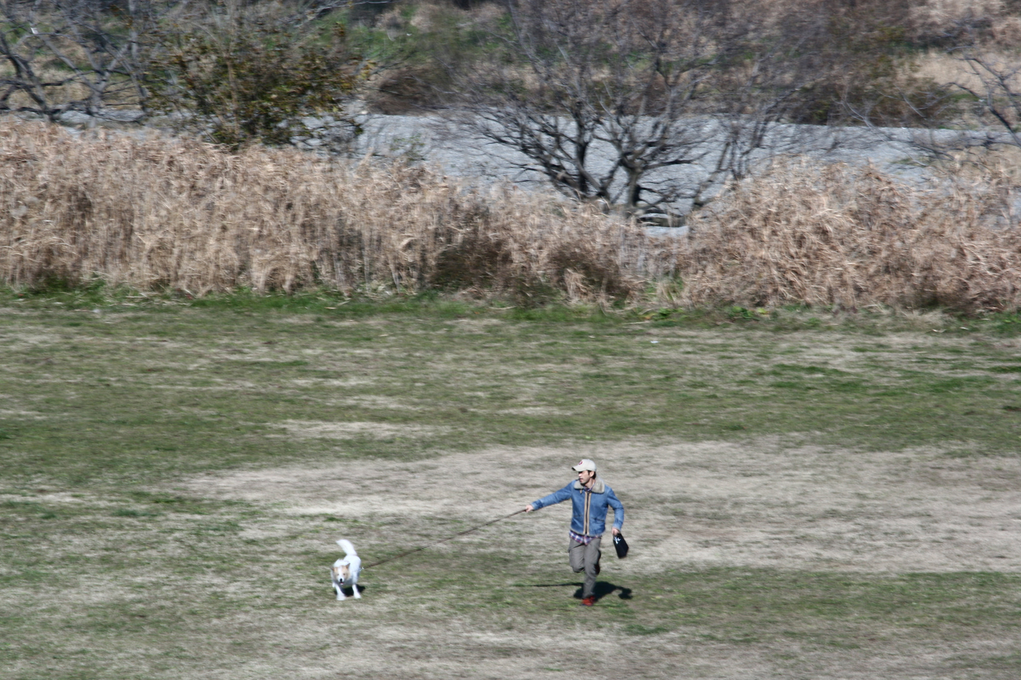 Canon EF 55-200mm F4.5-5.6 II USM sample photo. Passing photography