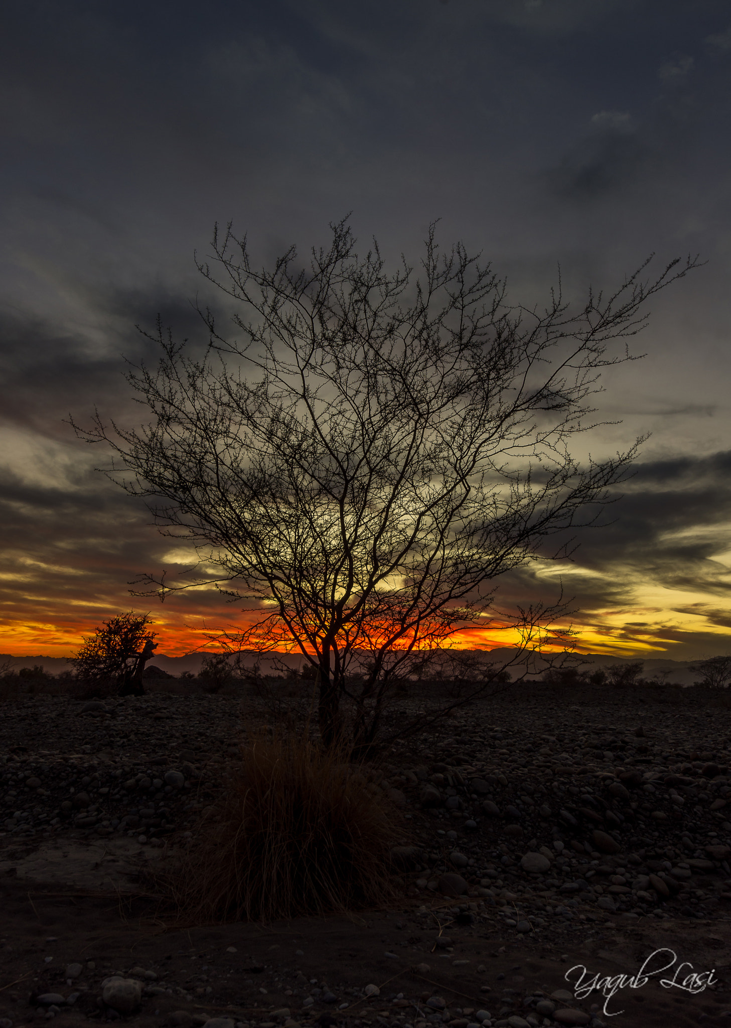 Sigma 10-20mm F3.5 EX DC HSM sample photo. Bela evening photography