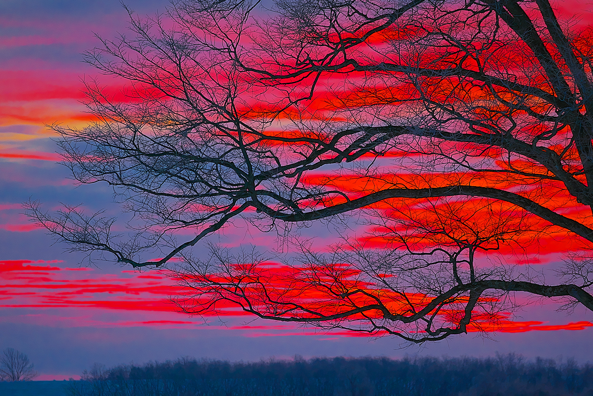 Sony 70-300mm F4.5-5.6 G SSM sample photo. Red thirst photography