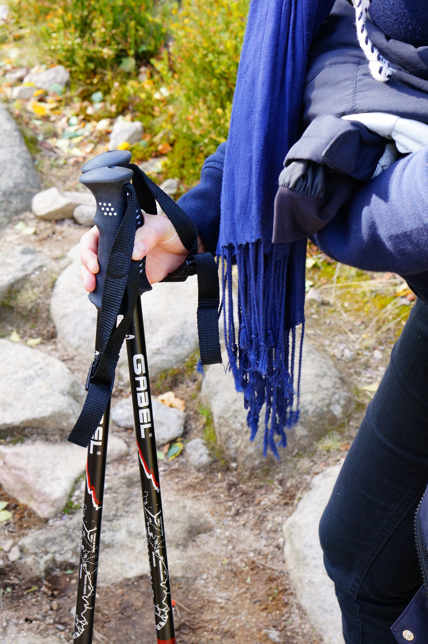 Sony Alpha NEX-6 + Sony E 50mm F1.8 OSS sample photo. Karpacz, poland - october 05, 2013: person holding two walking poles photography