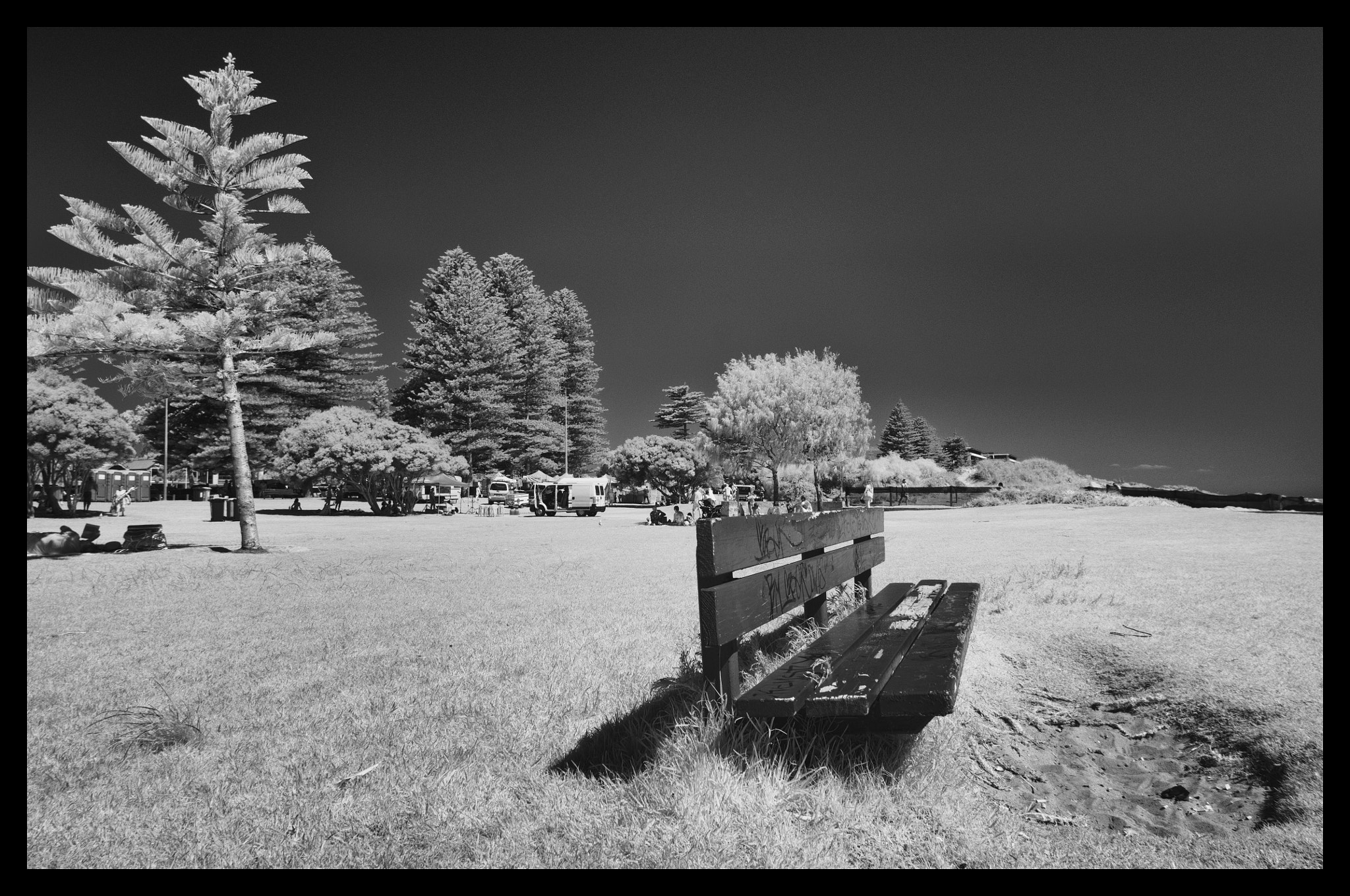 Nikon D90 + Sigma 8-16mm F4.5-5.6 DC HSM sample photo. The seat sank photography