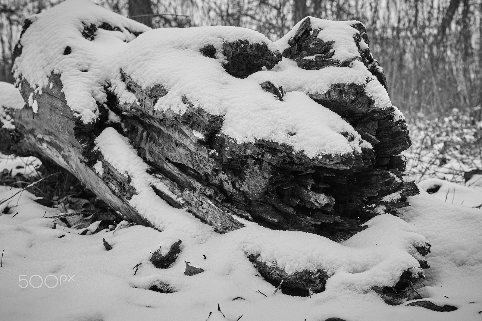 Sony SLT-A58 + Sony DT 35mm F1.8 SAM sample photo. First snow of the season photography