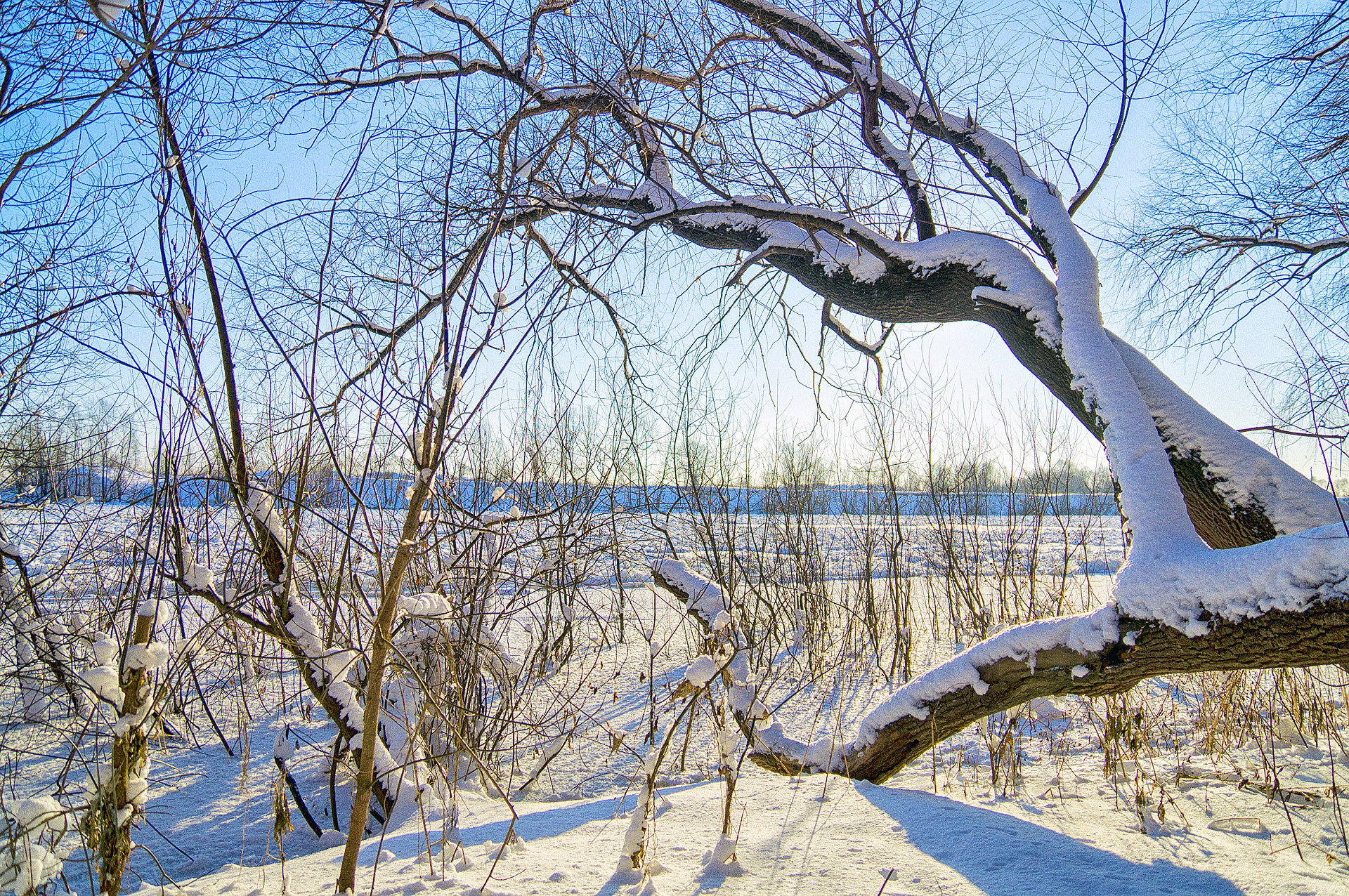 Sony SLT-A37 + Sony DT 16-50mm F2.8 SSM sample photo. Winter in ufa photography