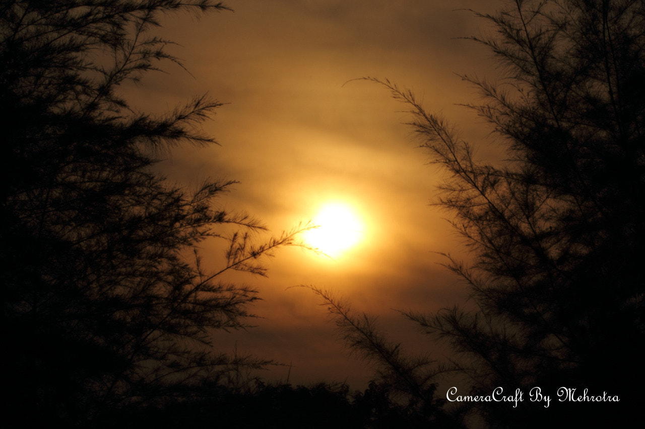 Canon EF 100mm F2.8 Macro USM sample photo. As dawn breaks photography